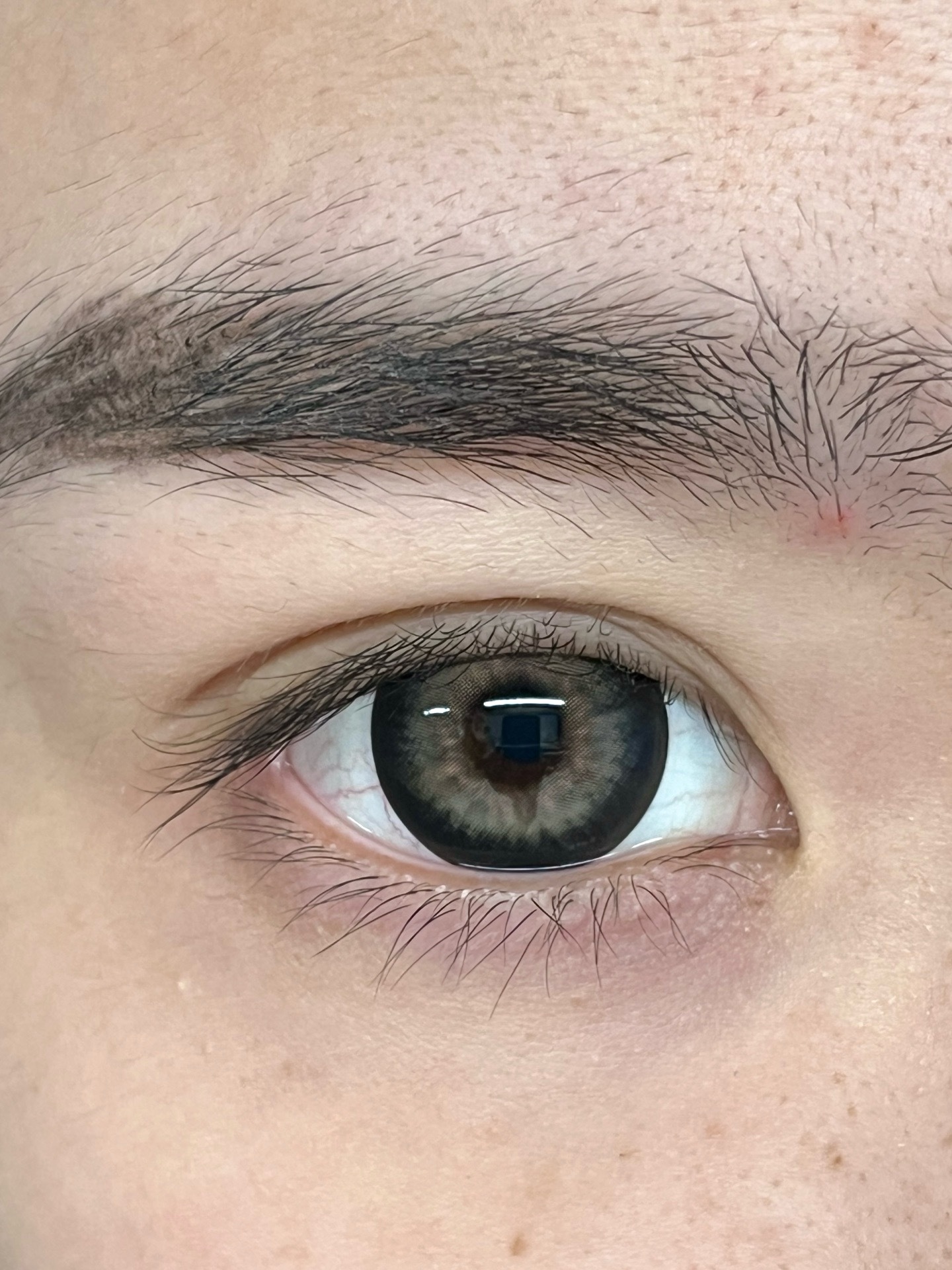 image_54790E14-B2B9-46A7-8FDC-799D1B84992F_1753209194