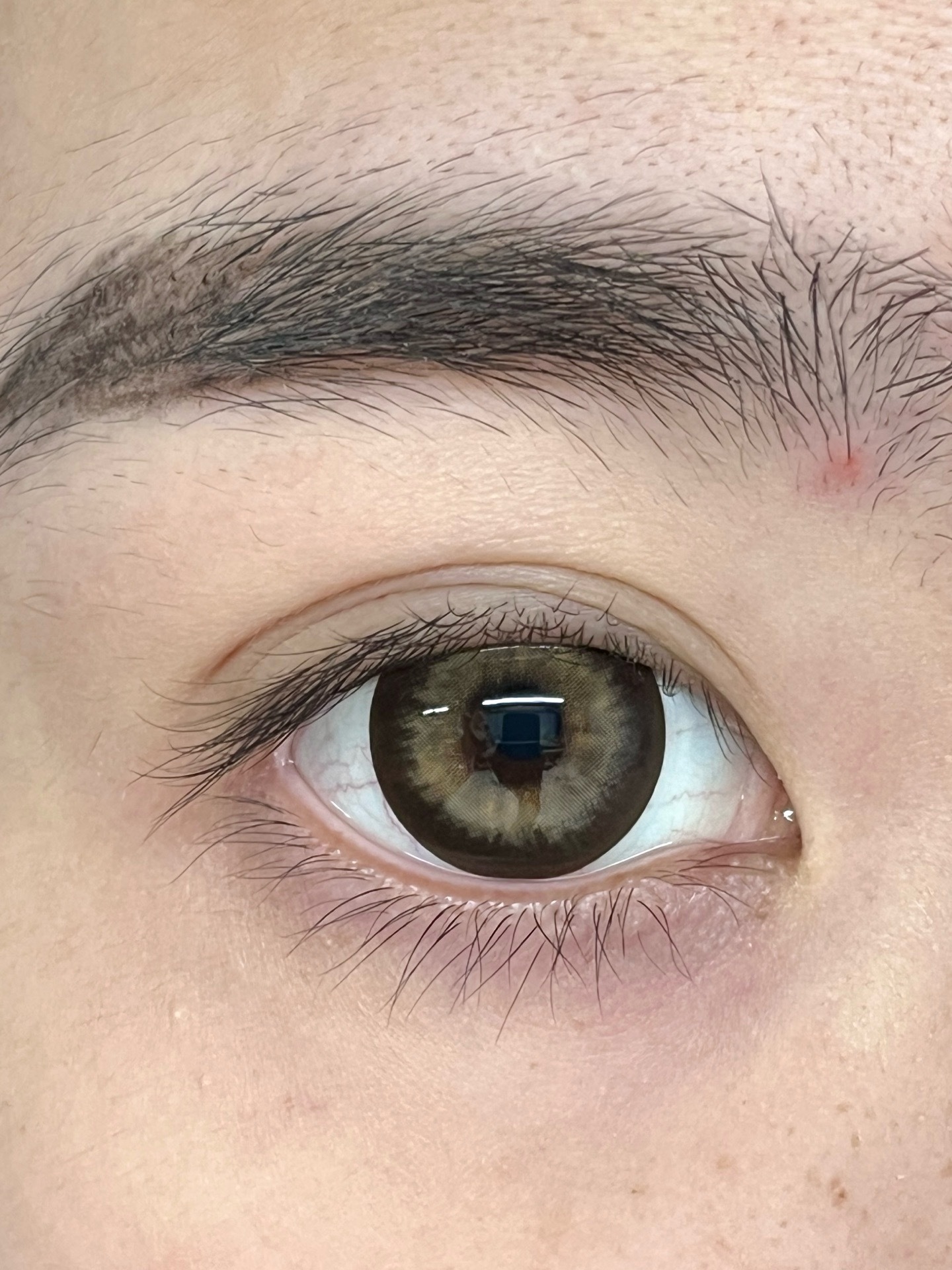 image_244D7709-1188-4DD2-9DC7-375F2D10656F_1753209230