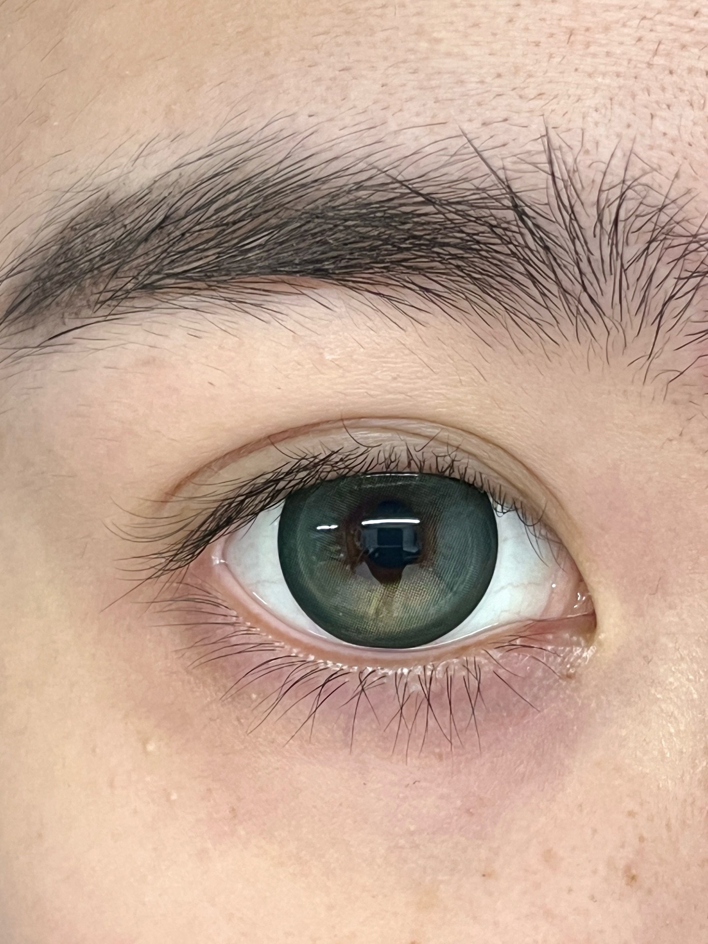 image_D55A2BBC-2A4A-4C8F-8355-CDE77BEFC4BC_1753209324