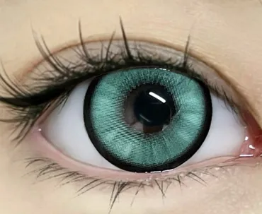 image_0D0133D9-2638-40EC-AC90-DD5F9E7DCE3F_1753387225