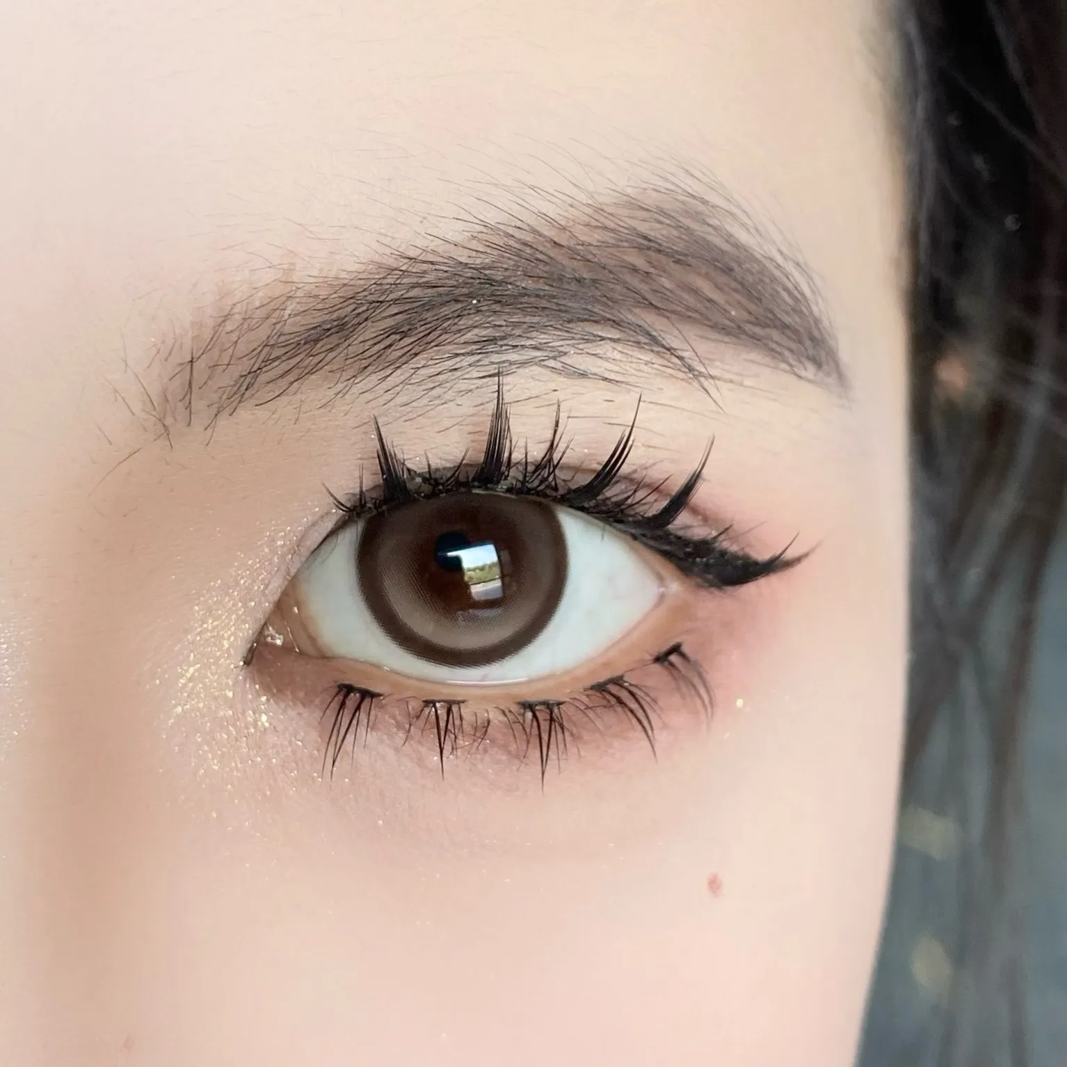 image_515AD00D-0E8B-4643-B59C-FF698F954135_1753387498