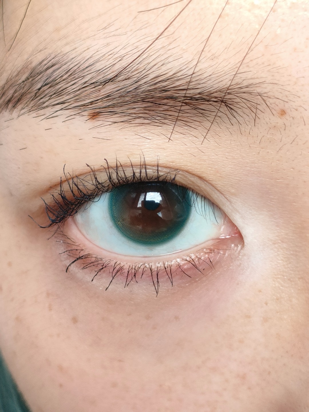 image_77FA41D3-4845-4871-BB33-E27FB216D8ED_1753387892