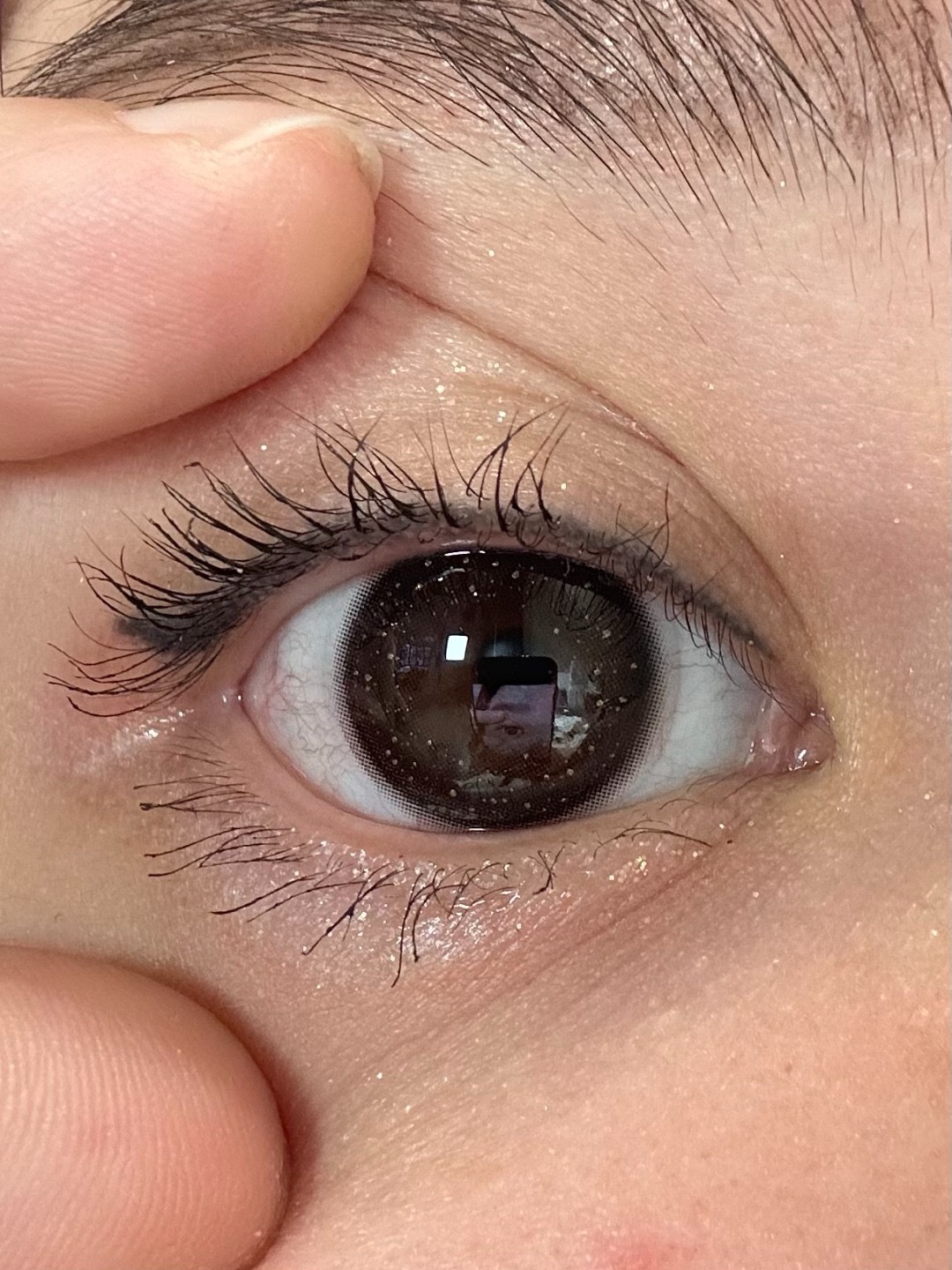 image_91C6D8BB-A23A-4D55-B704-860FDB36BEA5_1753388208