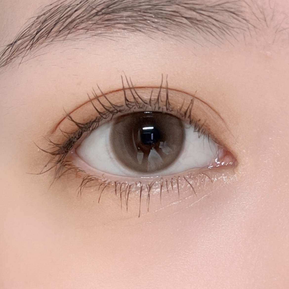 image_95886C07-2963-4A7F-B781-C02EC5D5208A_1753432873