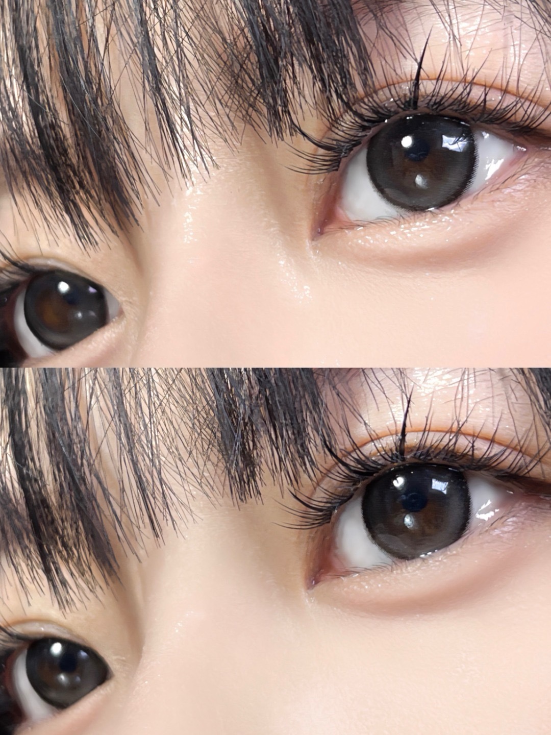 image_389E1F4C-933A-4200-8EA5-3A8C97053343_1753433210