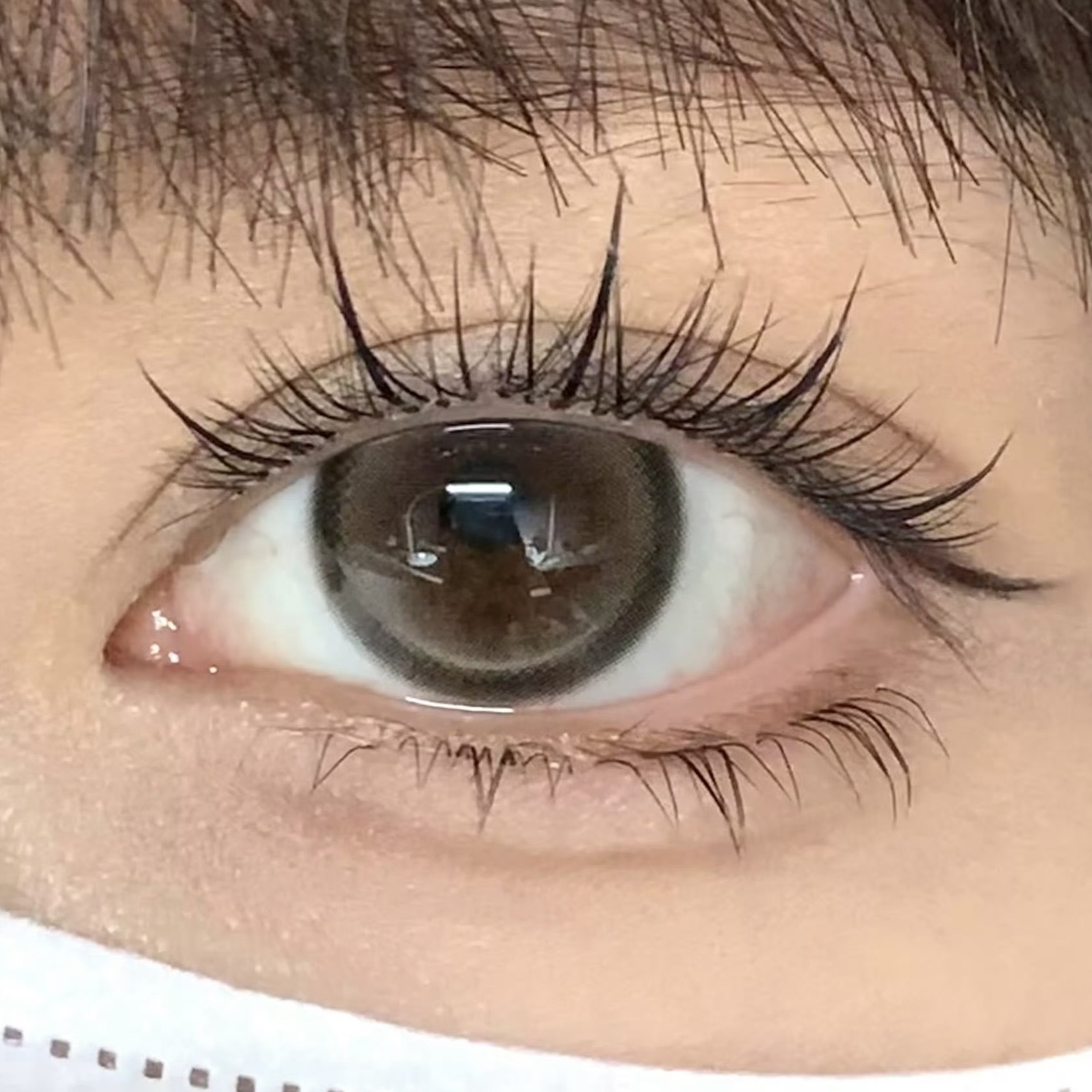 image_9563FCFE-BF12-436F-9C80-28F39F0FFA13_1754316296