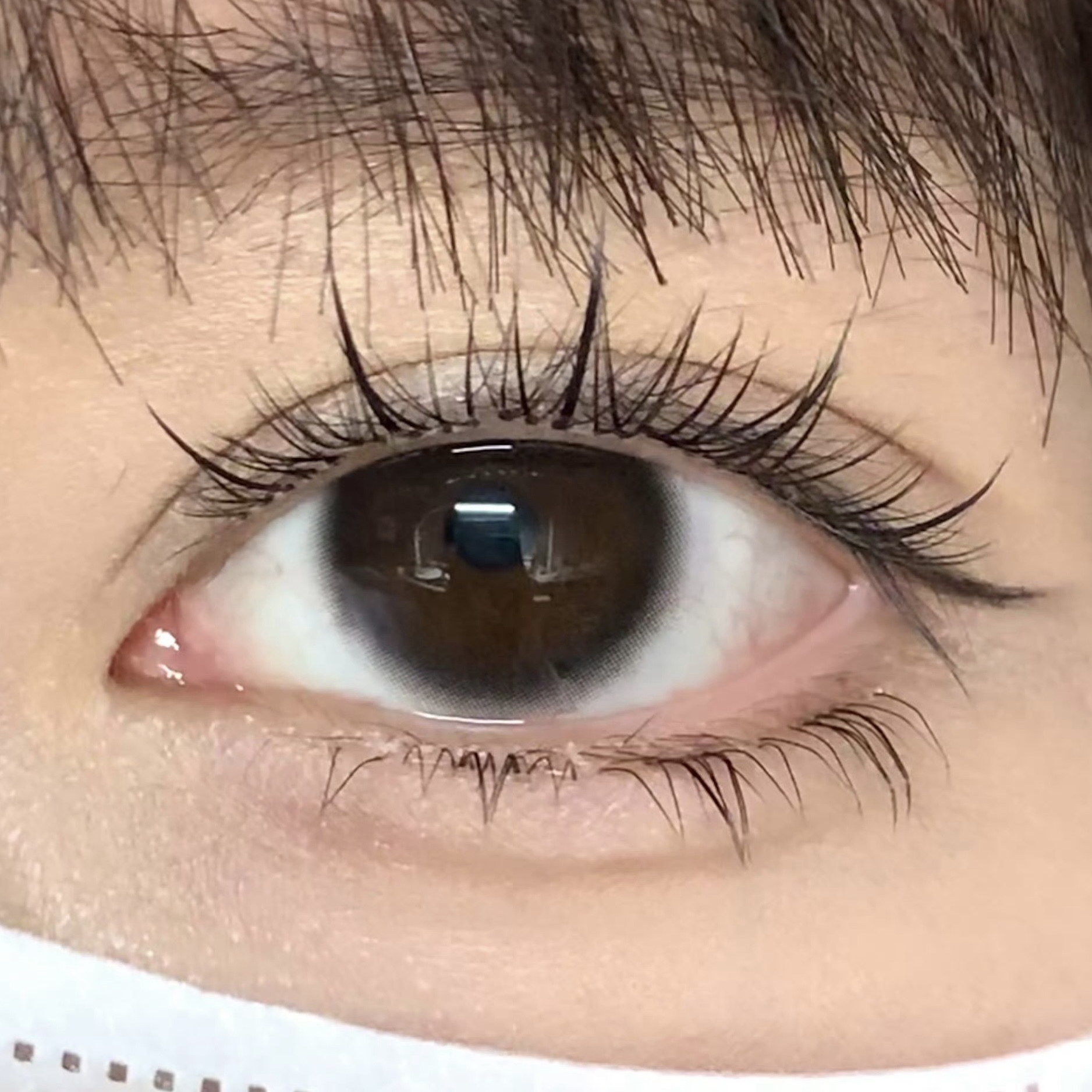 image_C34A4CC2-6FF6-4785-B61D-45760E3C922D_1754381813