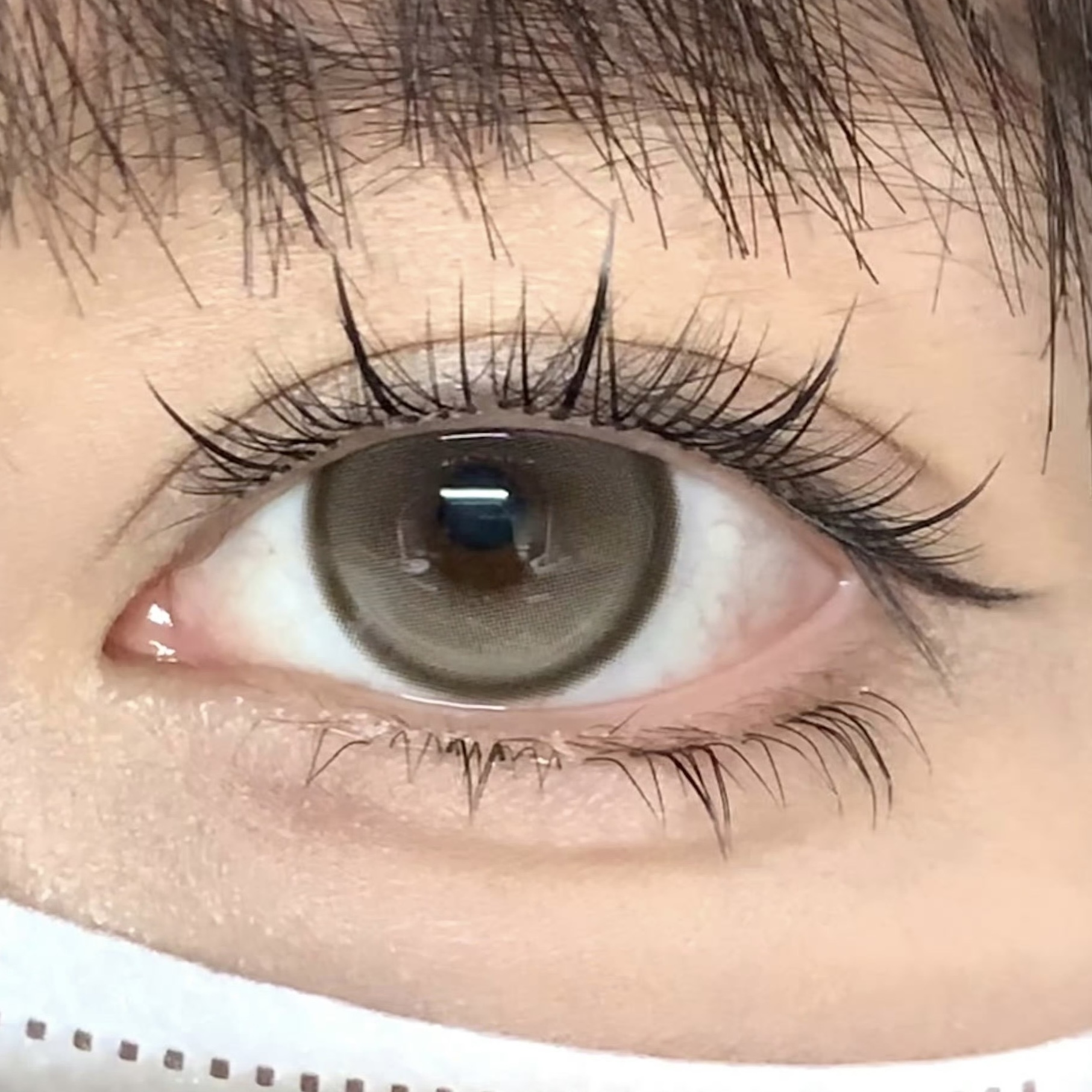 image_26AE9B6E-5E9D-429D-B770-A393E51EC7D0_1754411262