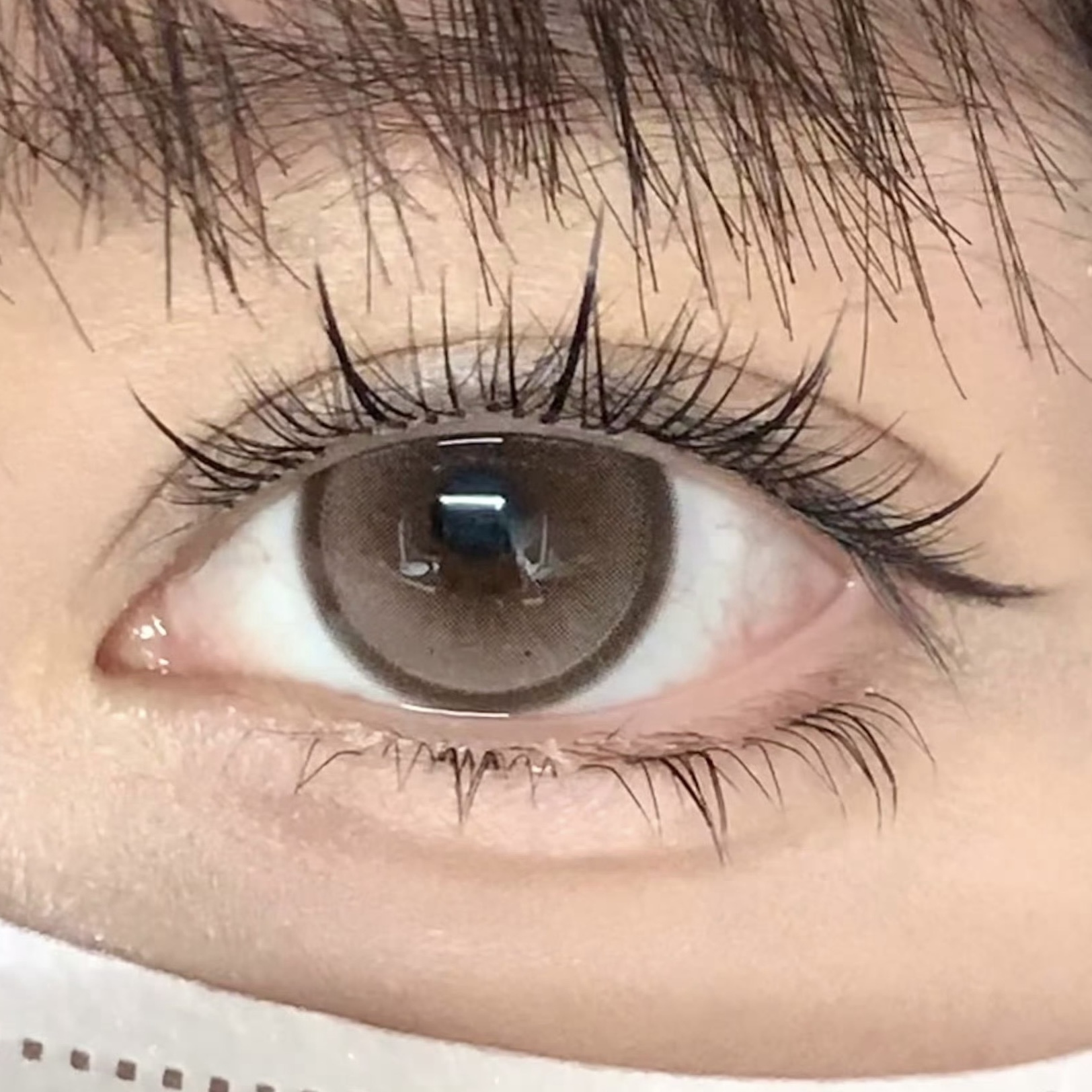 image_FCFA8F3D-55E5-4FF2-B8F2-82C8235CECE9_1754411394