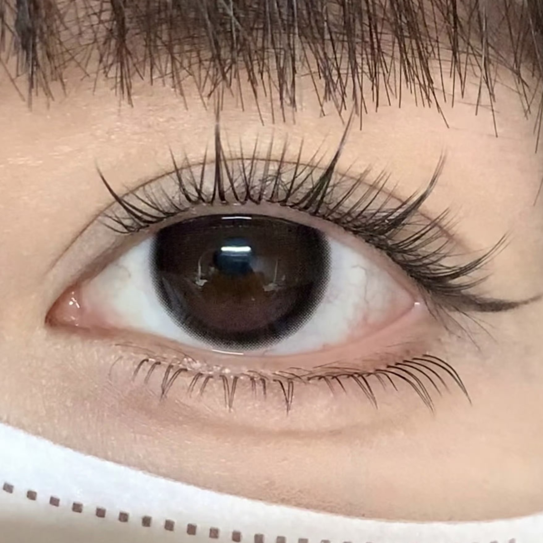 image_77FCDC8C-CD67-4C3B-8EA2-9F58B8F91BFD_1754415079