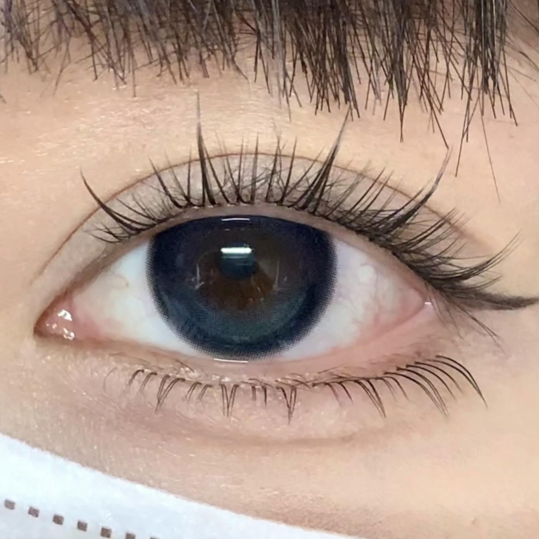 image_077CDC37-295E-4D72-9922-F4B57569B3DF_1754415298