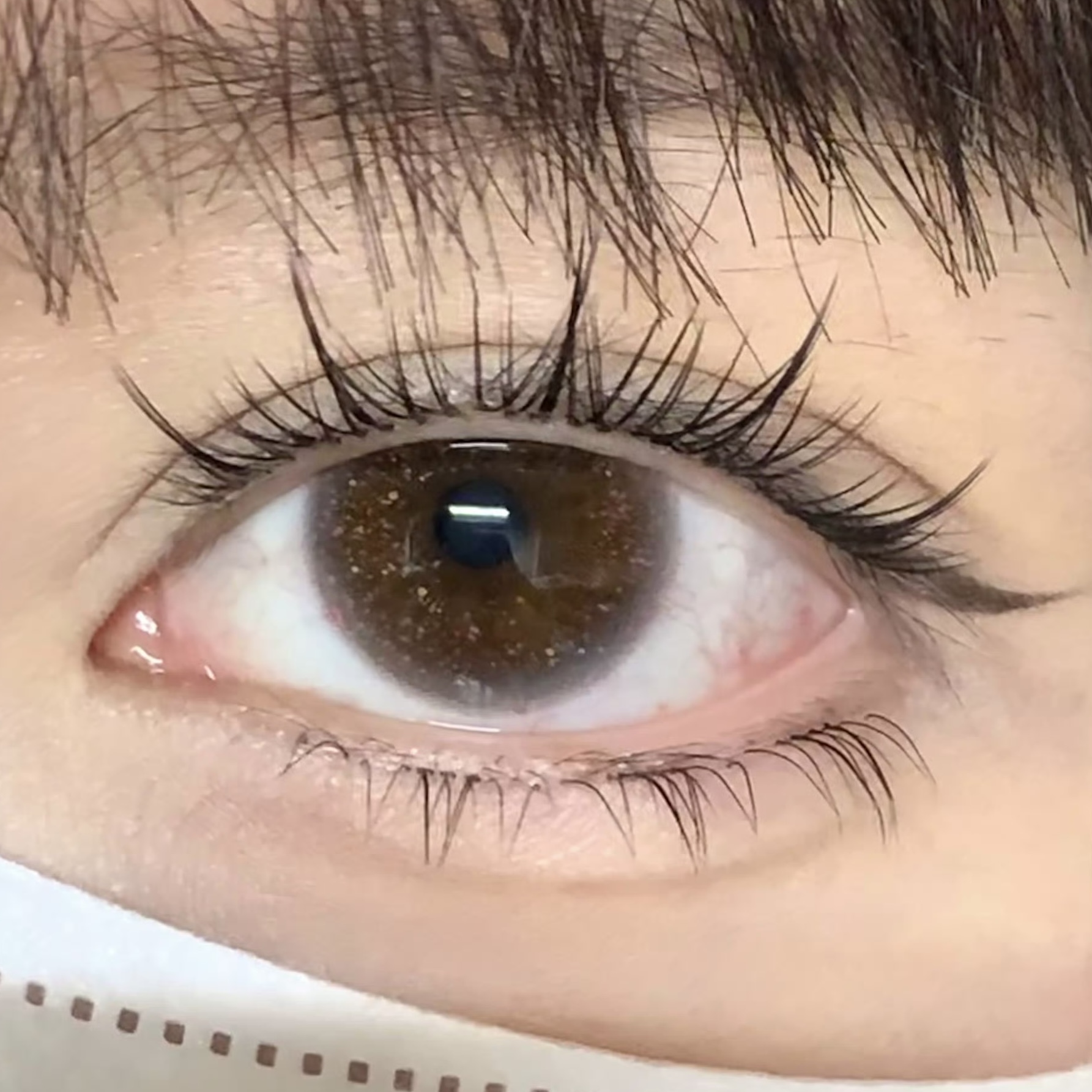 image_F65D9302-A101-43D7-9A06-2A1F11A41C41_1754459262