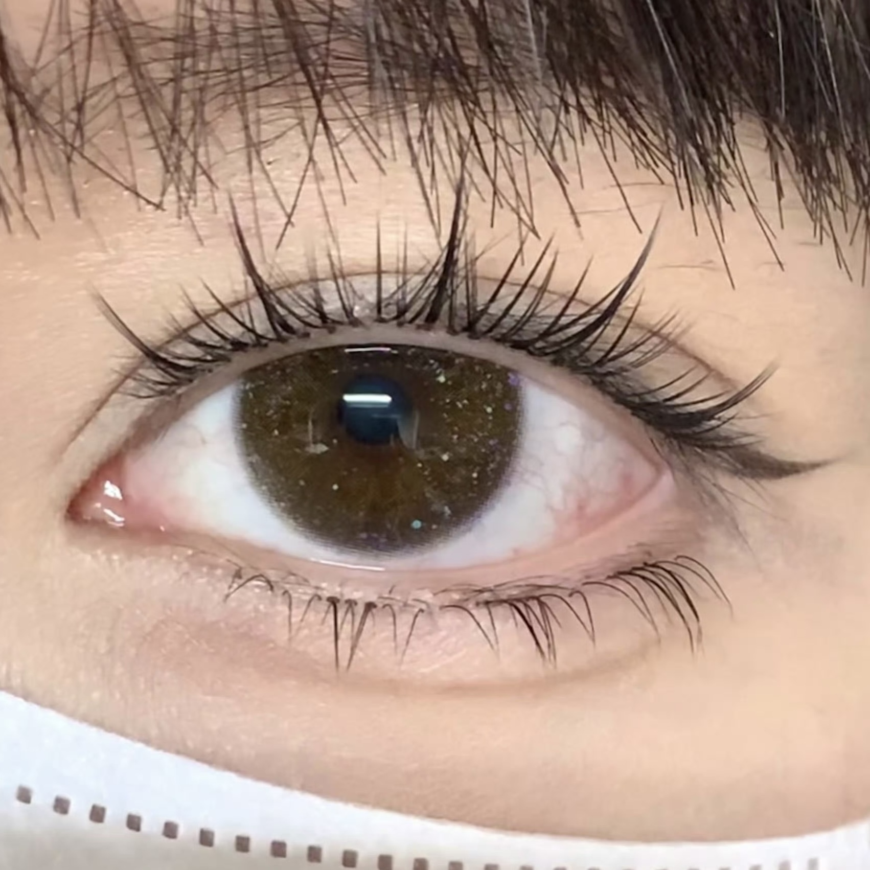 image_DFD25ACE-EA39-4F84-9262-CD53C7BD3FCB_1754459342