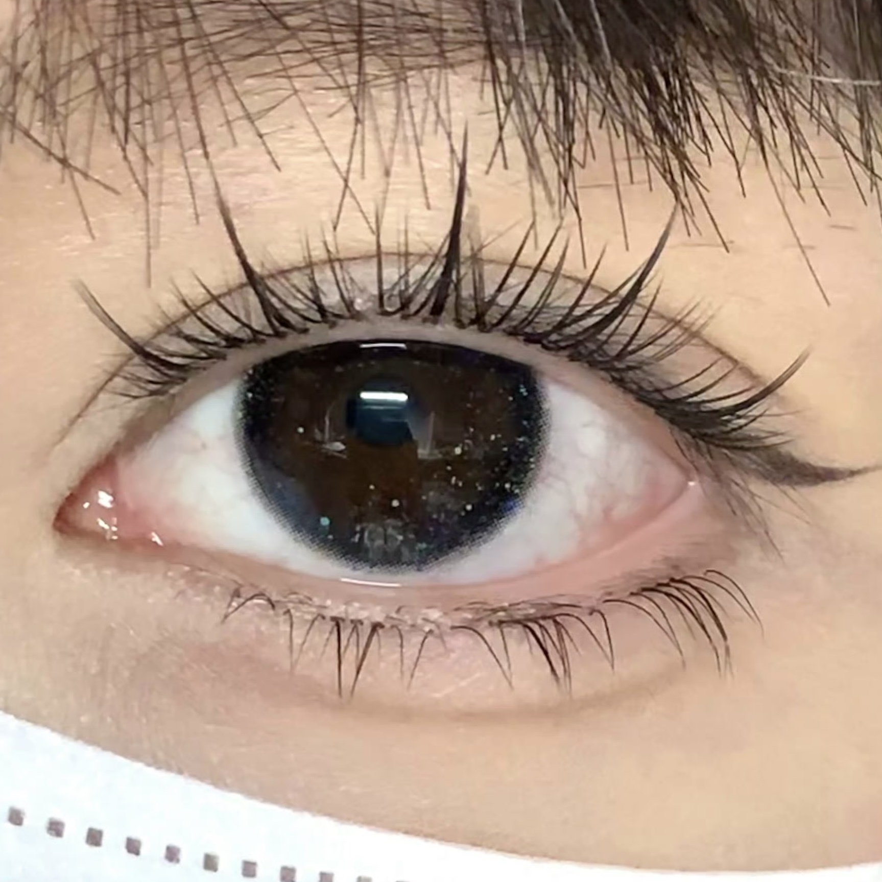 image_21AE03CC-4F27-4691-866B-B5AB0F3FFDFD_1754459423