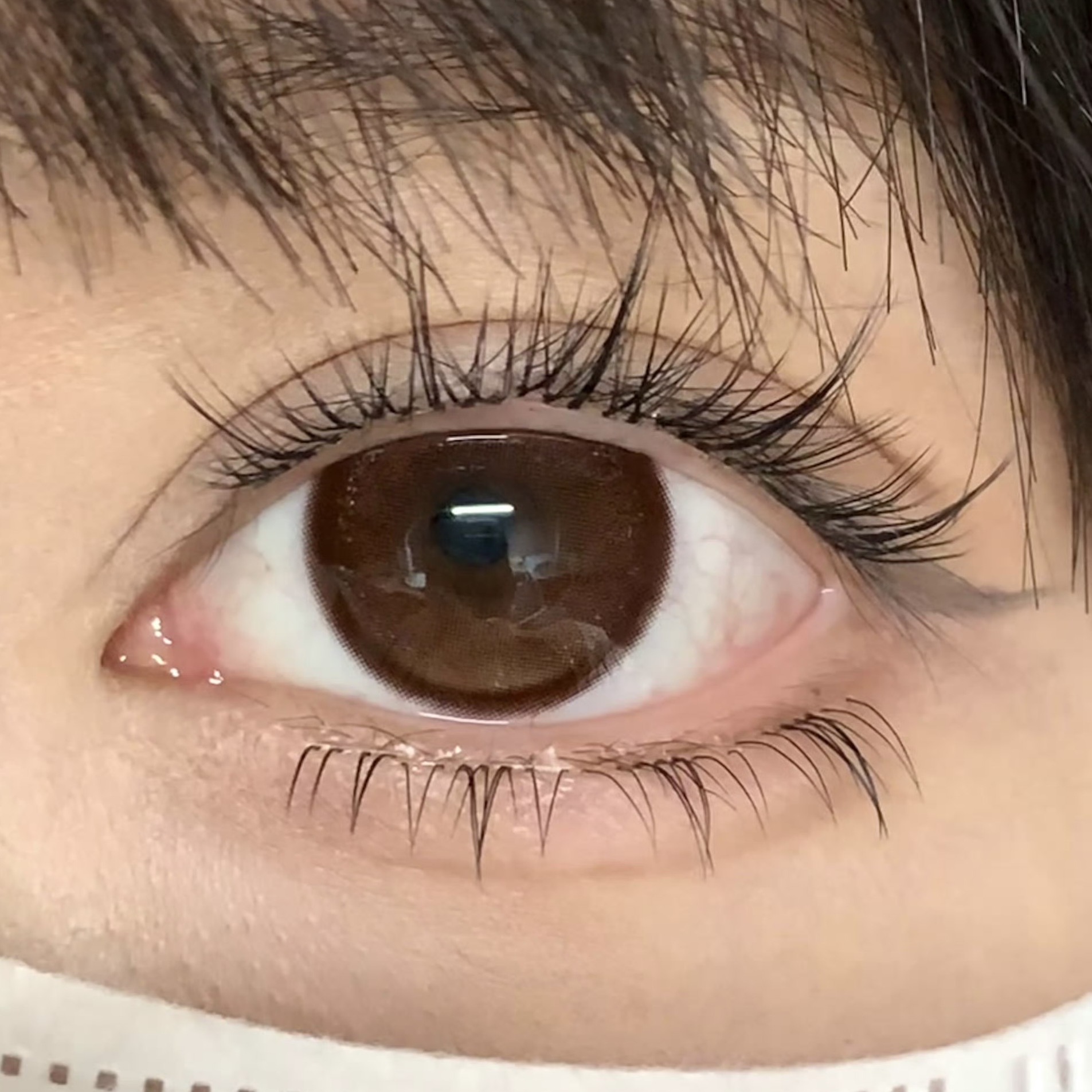 image_5EF562CE-5F6D-4CB8-BBF5-2C1D30EA5D5E_1754459602