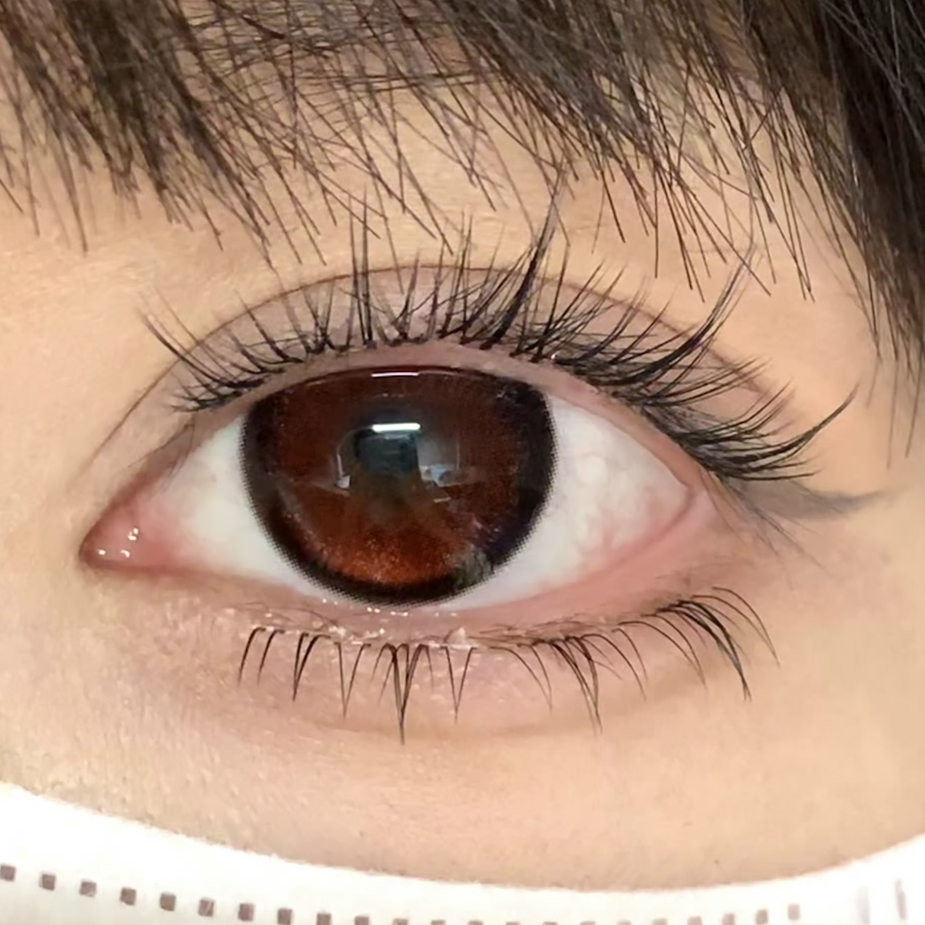 image_3443867D-A279-4F09-9390-72C1AC4E9475_1754459881