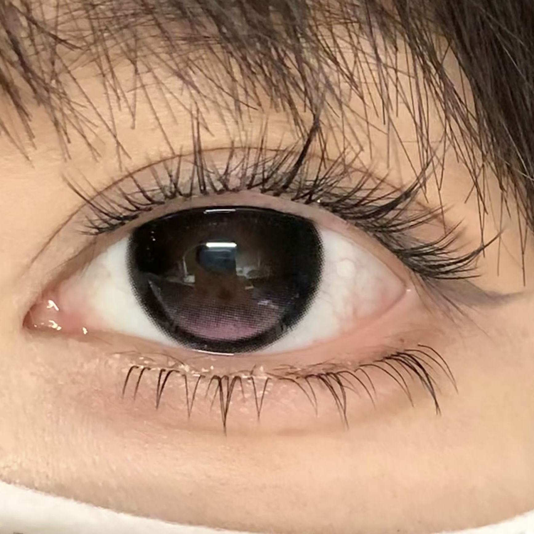 image_72A1C82F-CDF4-4AE4-AF1A-3352A570EF27_1754460141