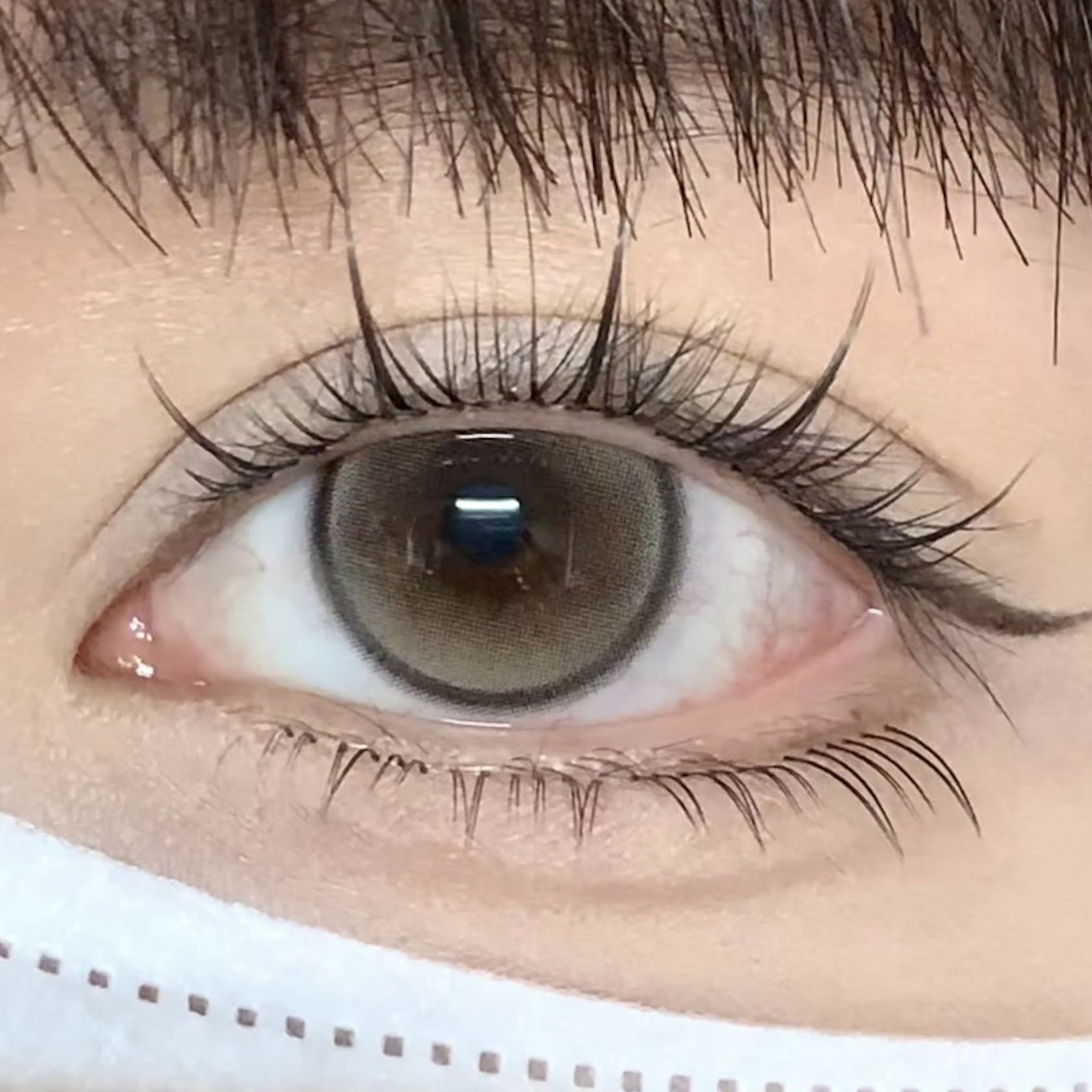 image_77A13041-2D87-4E4C-8A0D-A1C992BDF470_1754460197