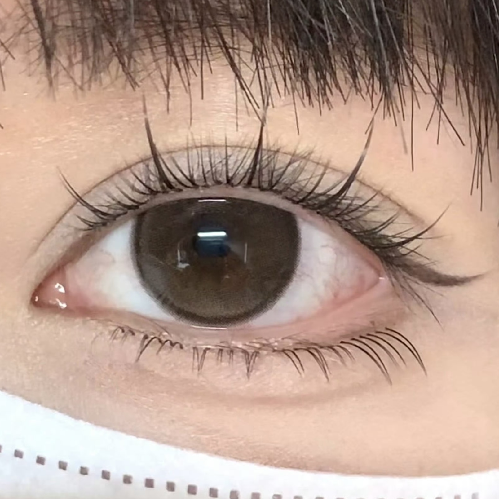 image_8079EA78-2A44-4335-87BC-3692E4DD9FC8_1754460315