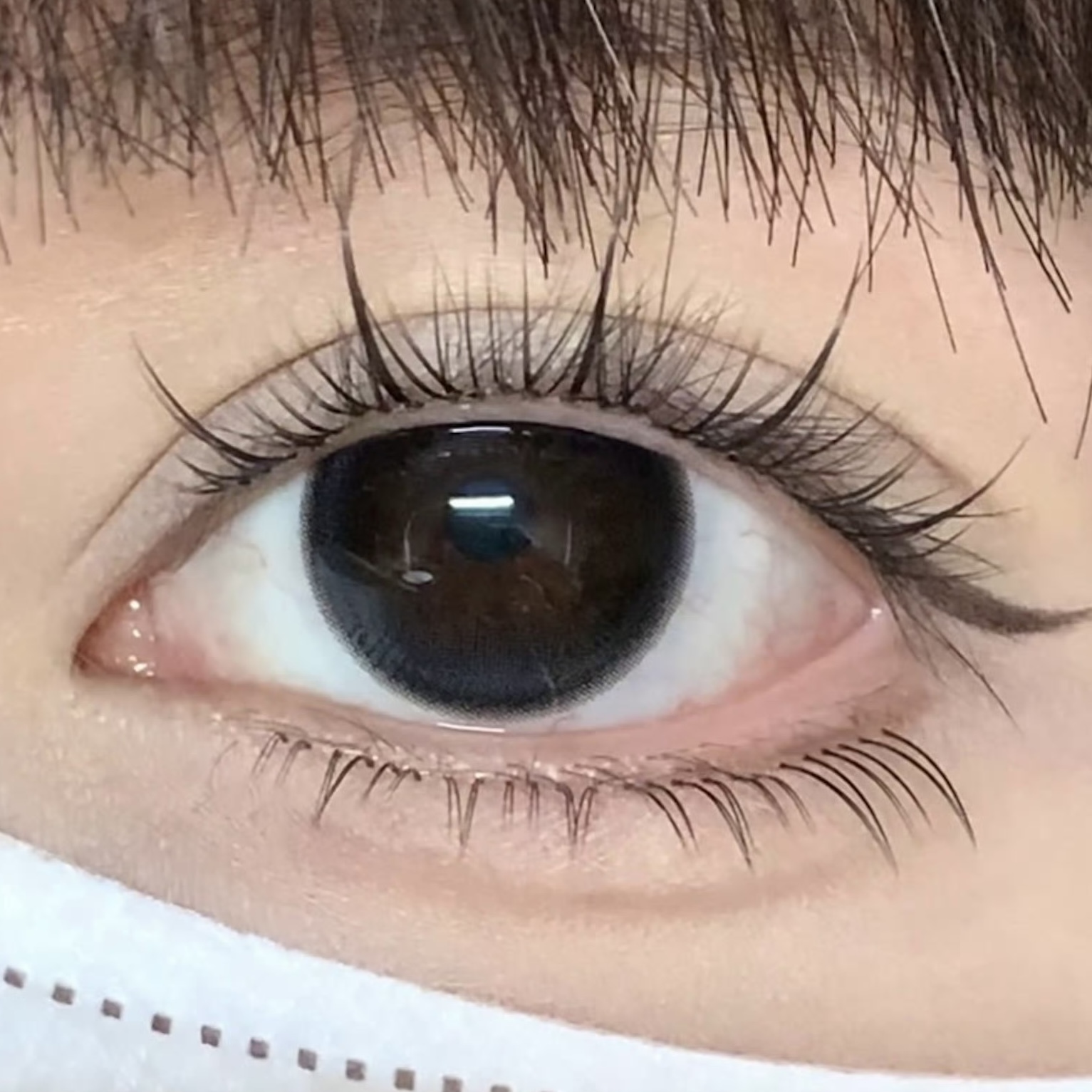 image_20E62F0A-8051-4440-B7BD-52CDDE589E46_1754460438