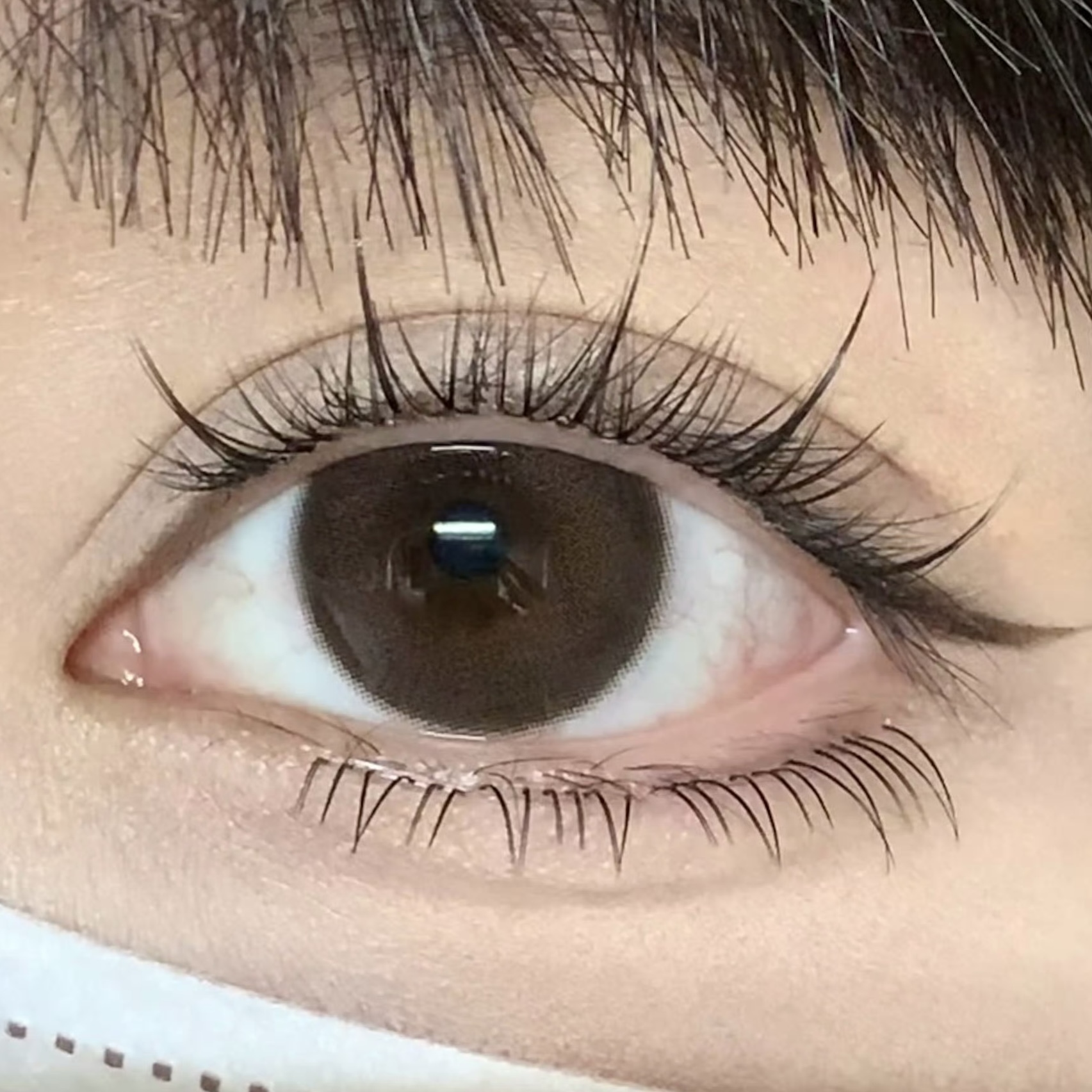 image_C29B9352-DFE1-4E6A-BDAD-8C9E332AF60B_1754461086