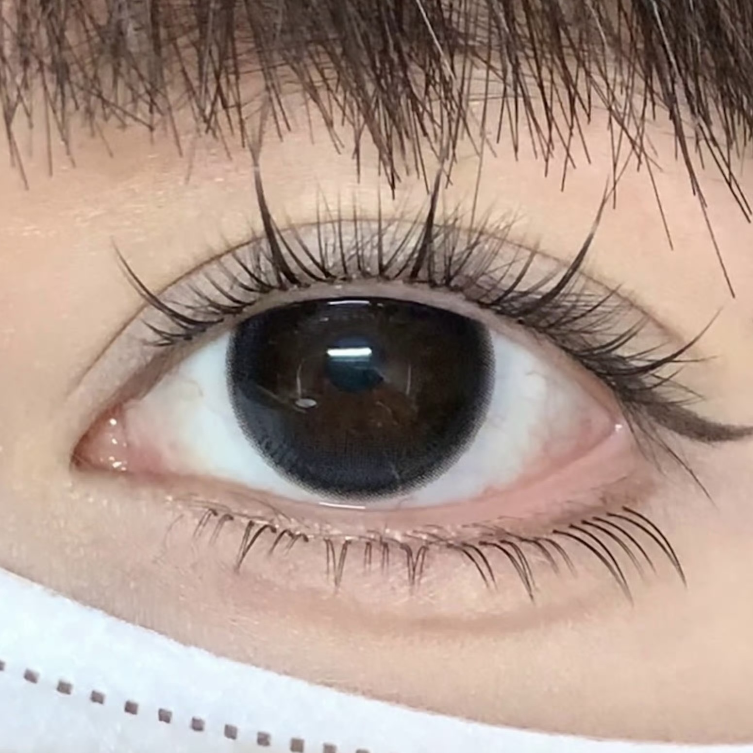 image_30507FA1-90A1-4808-8C8C-E3ED8B40411F_1754927723