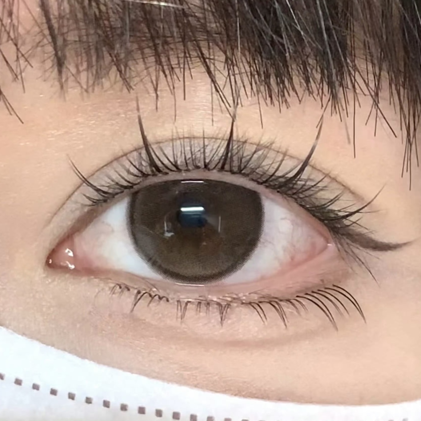 image_8B5B695F-971D-4CCC-B408-D83010C5DB91_1754927832