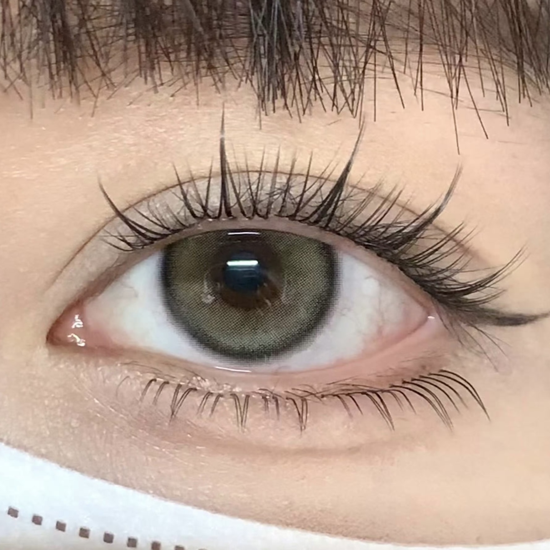 image_5856AB1F-25BA-4CD0-80D5-67941FAC0107_1754927910