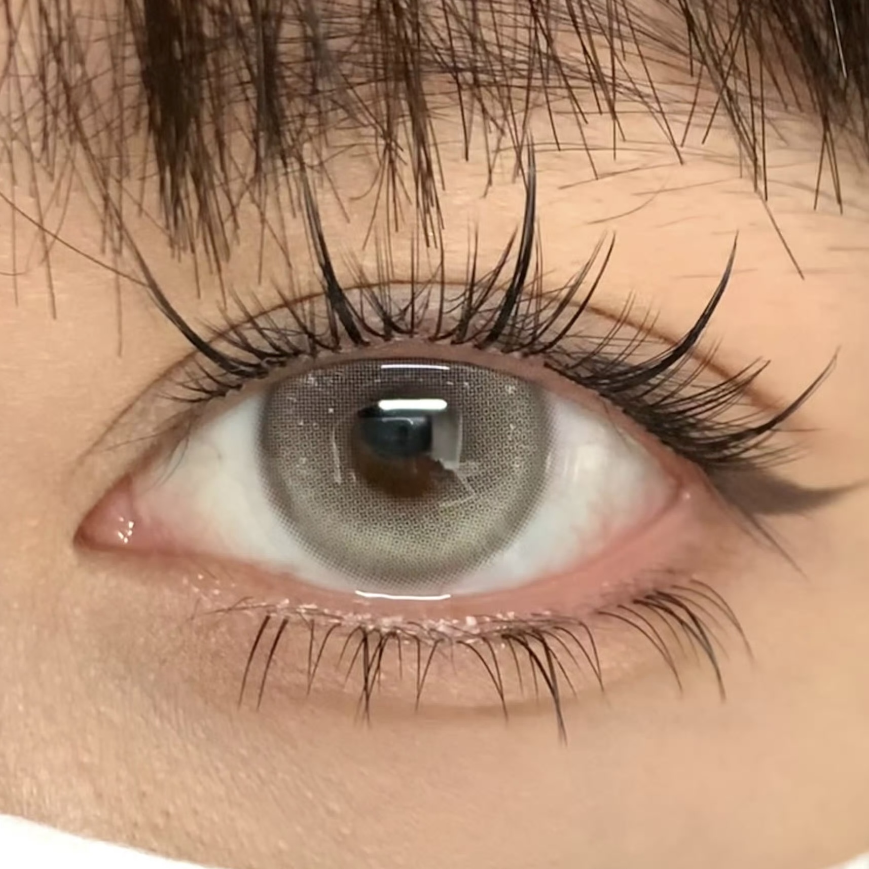 image_362BA0BD-ED75-41C1-AF2B-2800B95E54FC_1754928065