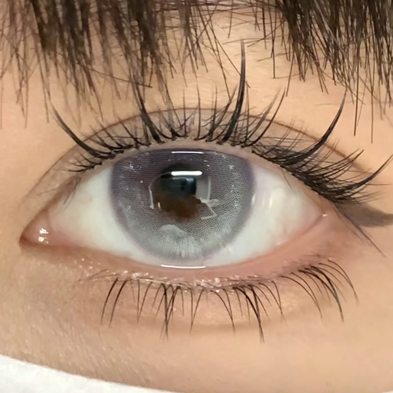 image_F00E8917-D0DC-42E3-8975-447B4A3D024C_1754928170