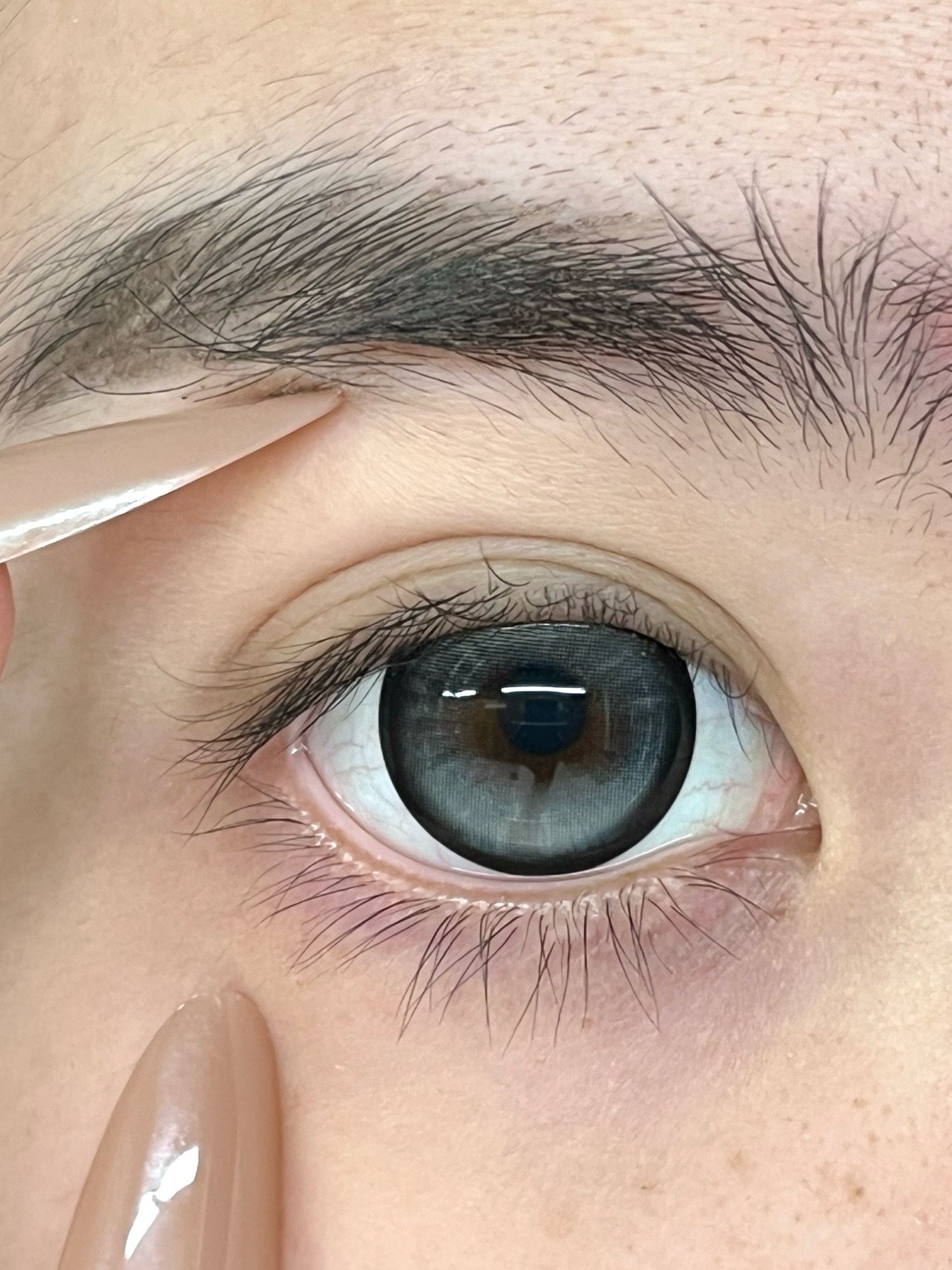 image_F4B88546-EA60-46DB-81AA-9B95243BDE20_1755789167