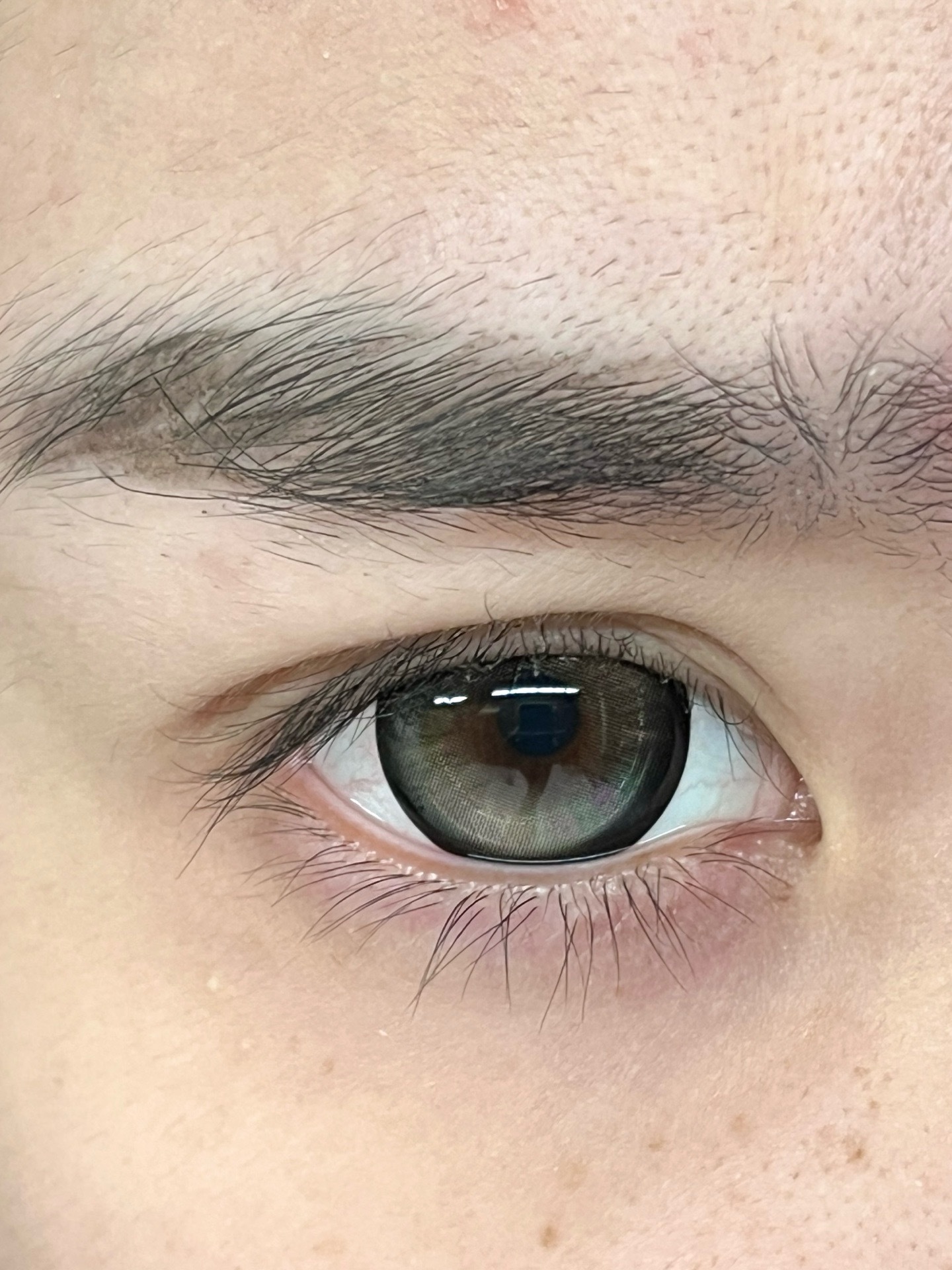 image_32619CB7-1DA3-4E07-BA56-52CC9C83B220_1755793974