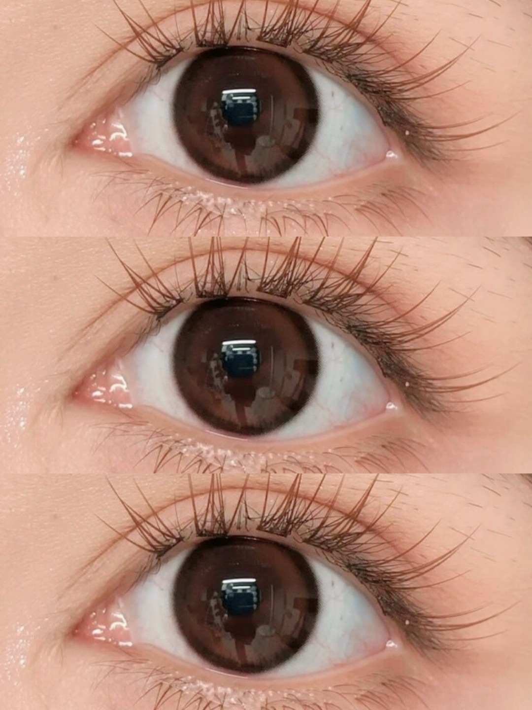 image_223F7F84-2B9A-4DC7-99D4-008FF1B804D5_1755853328