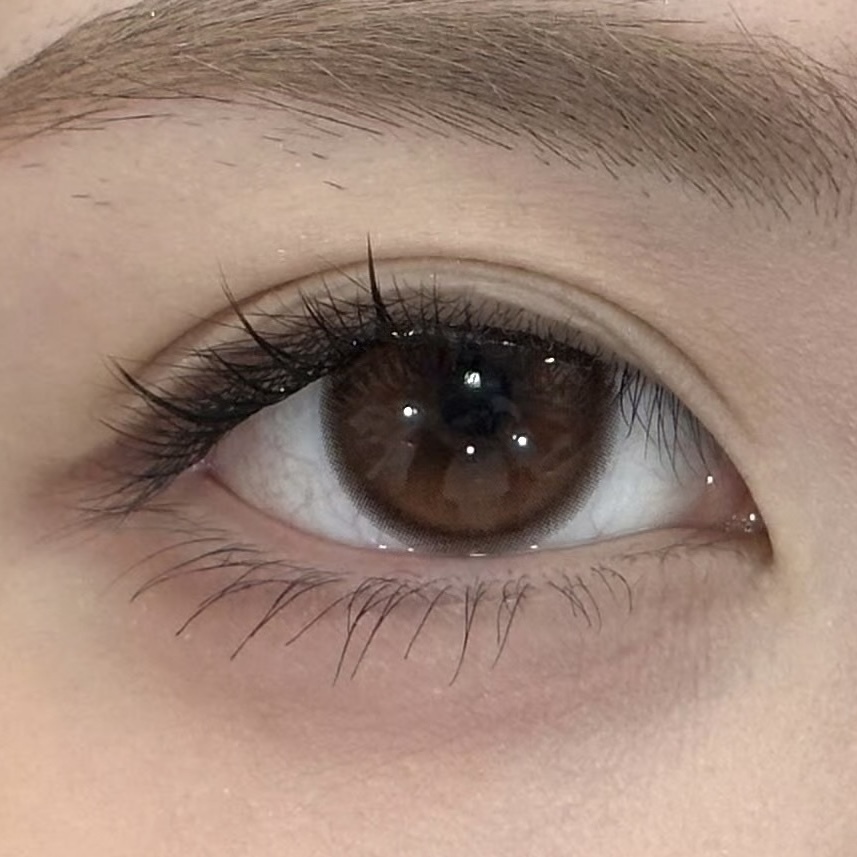 image_E119AAD7-8AAB-4C98-9979-EC76A886FB22_1756314017