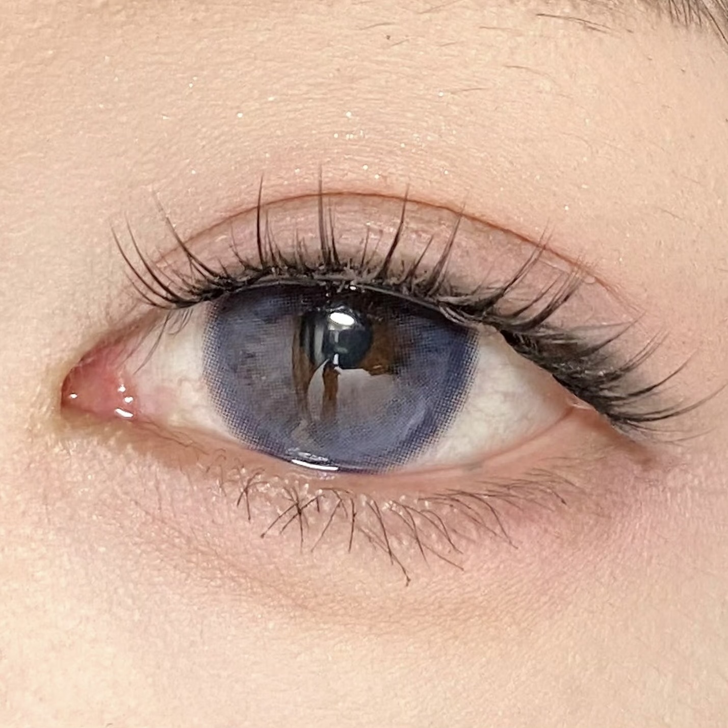 image_693F9673-4CFB-41C4-8530-CEC9133B25F4_1756314122