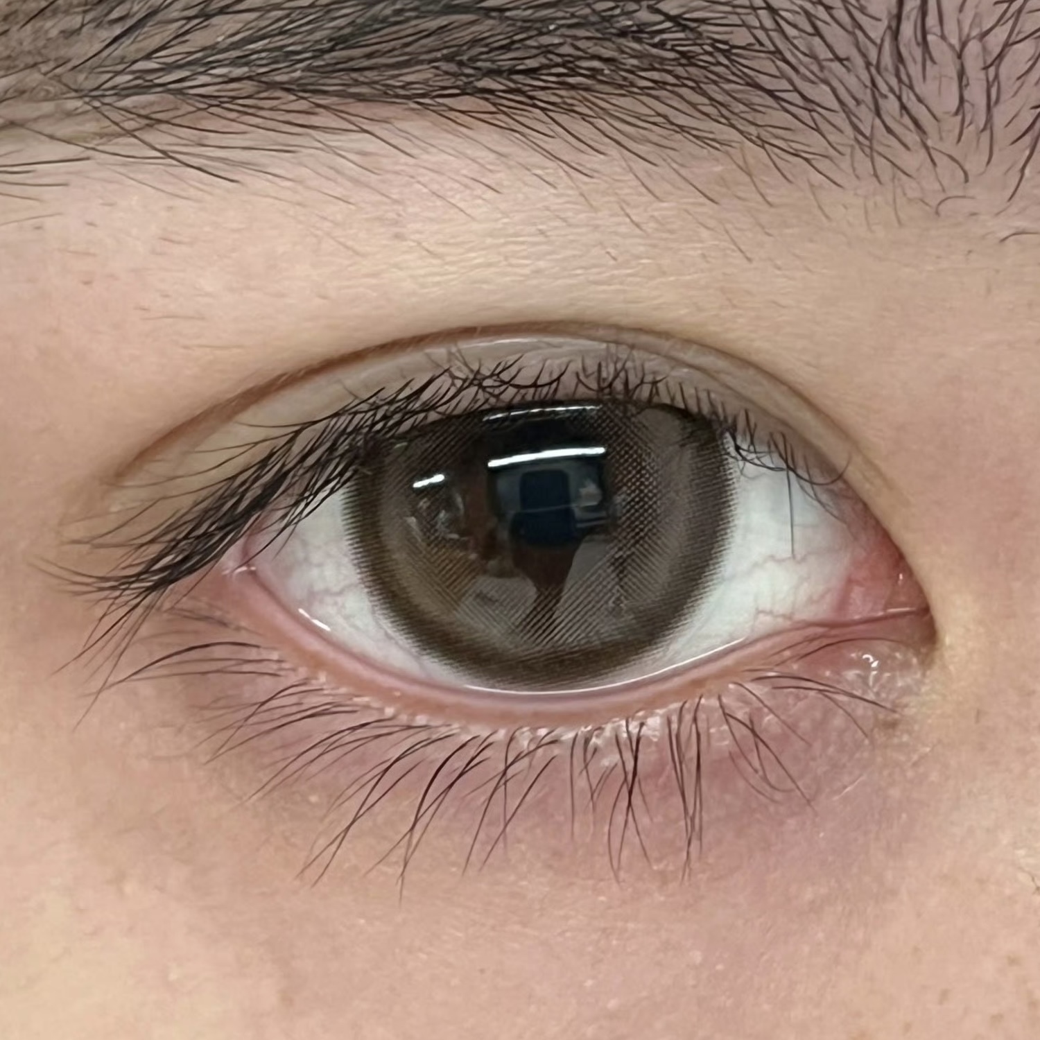 image_C01CE37F-A325-4D72-B268-6DC171329C14_1756314528