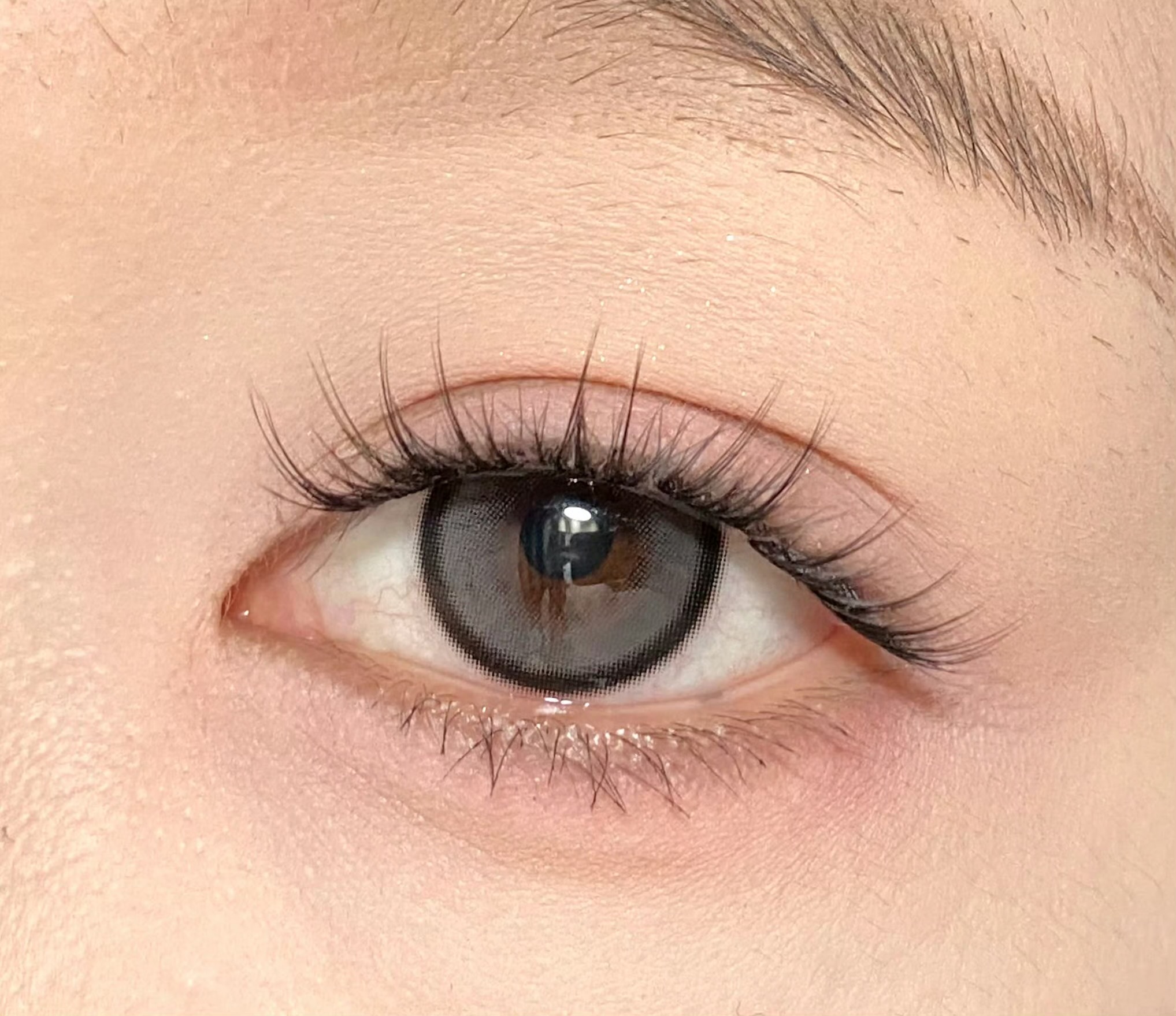 image_E9187226-D342-48A0-8057-74FCDDEA7C1D_1756315801