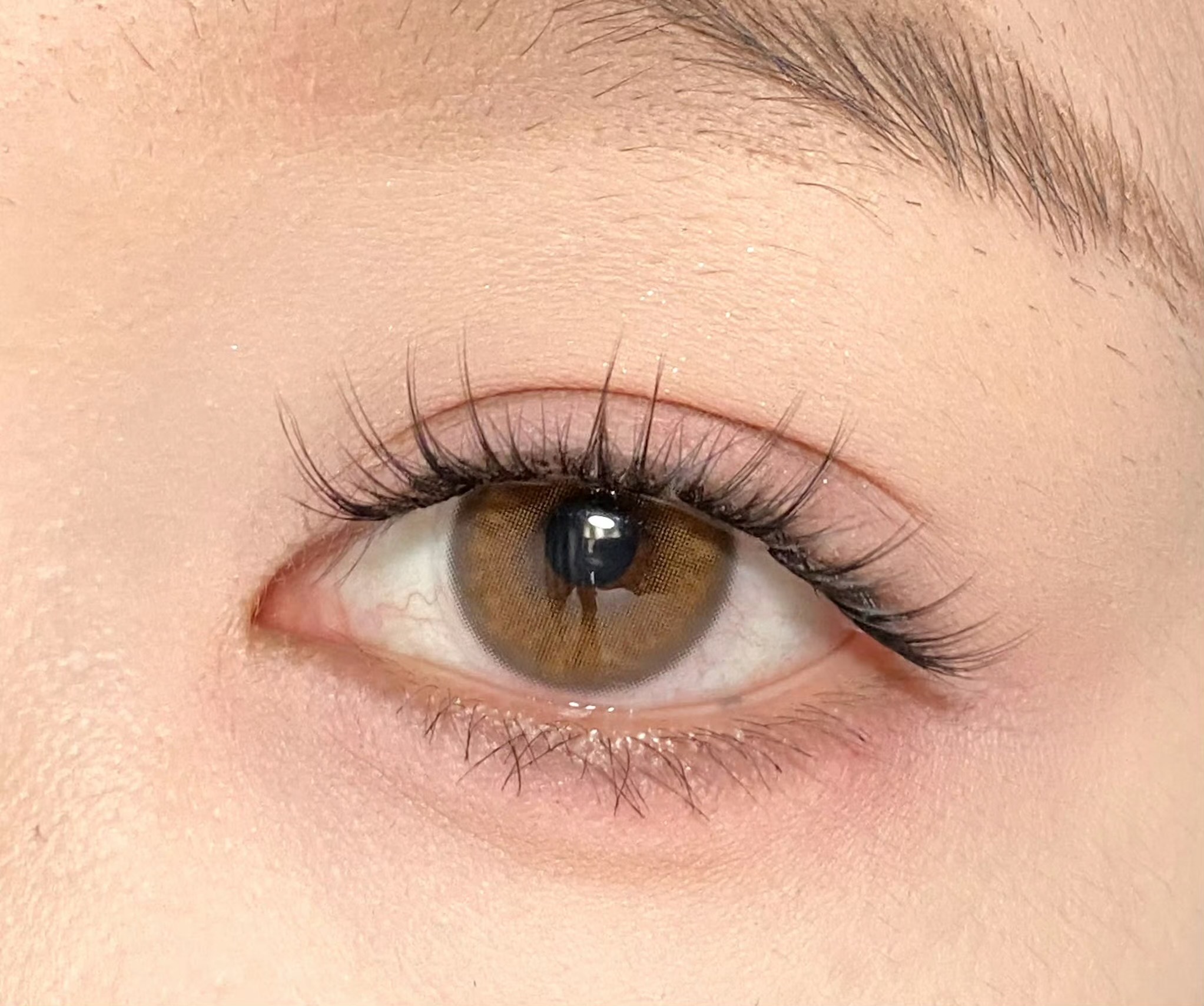 image_D3450C0B-0E62-41C8-8D03-C48050C229F2_1756315860