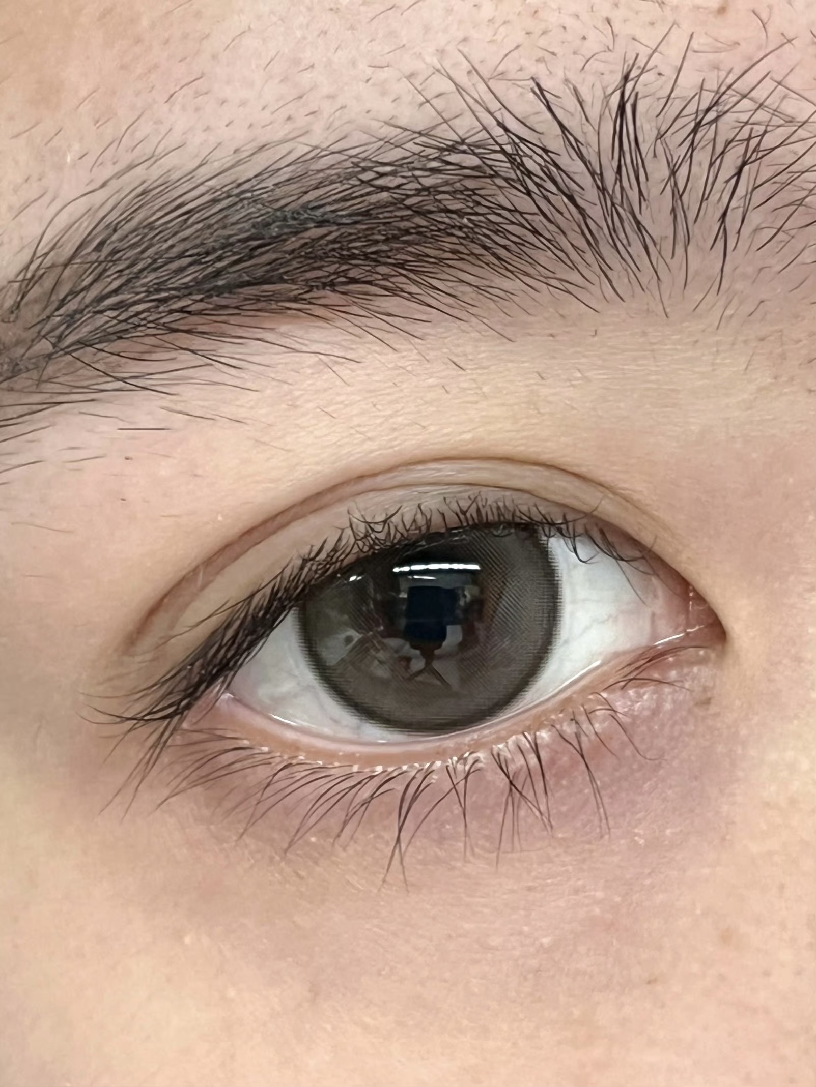 image_FDE9DBE3-DD31-4969-975C-6B6B38160128_1756316022