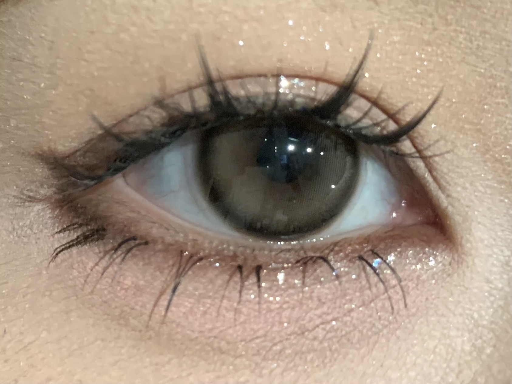 image_4101D0DC-1DB9-4C02-9716-EB2ACA930614_1756316101