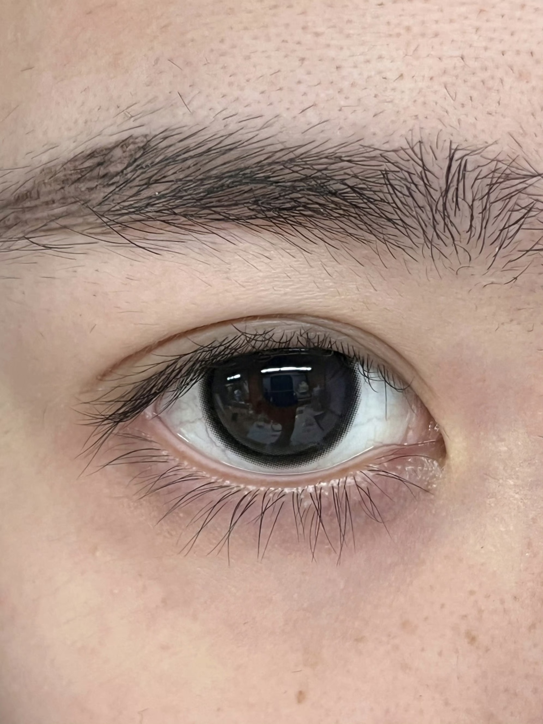 image_872D66E6-CF99-41B8-B0F9-6710E78E1049_1756316432