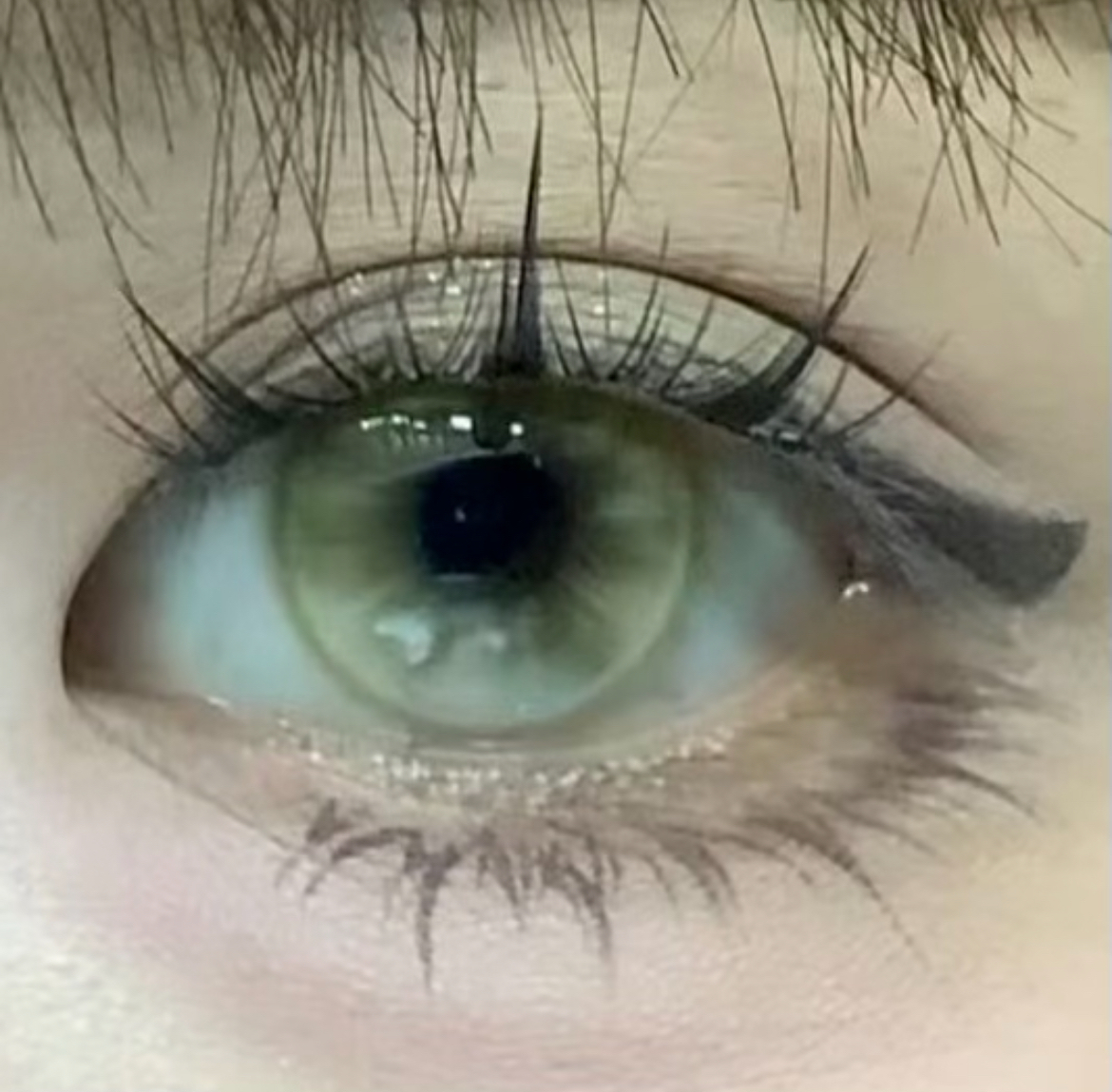 image_CA88AE12-C100-40FC-96AA-0DCF9F7FFA15_1757788544