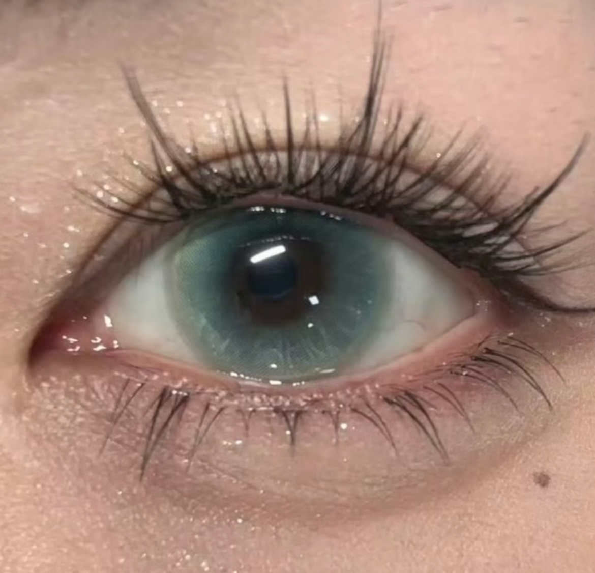 image_F266A6A7-CD73-4128-AB46-D98FE38BF9E3_1757788998