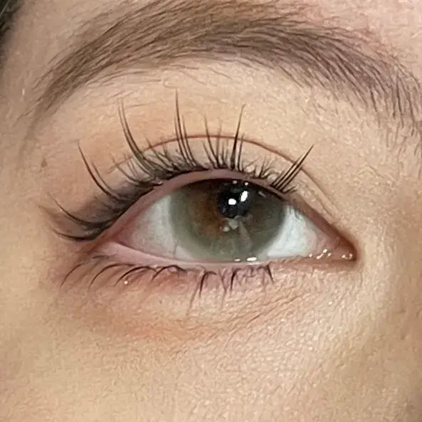 IMG_1645-1732863533245