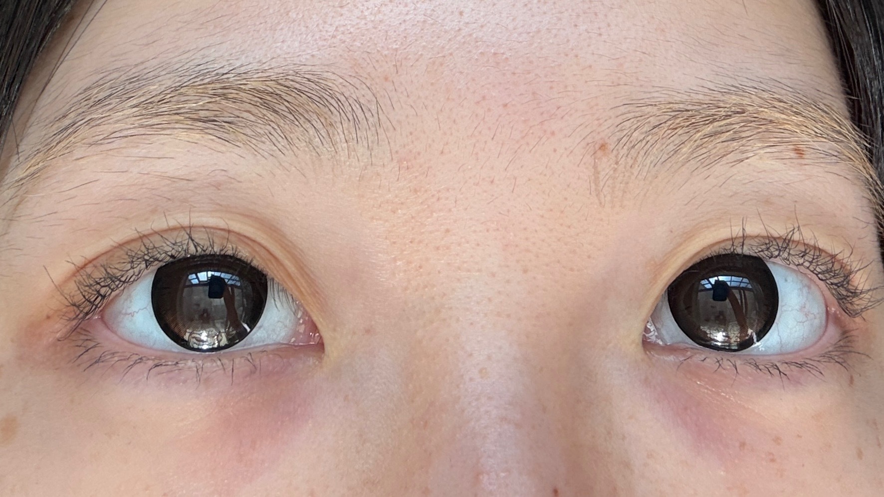 image_DDF0954B-9BC3-4D5D-8F6E-3A7BC6BB52D3_1762027774