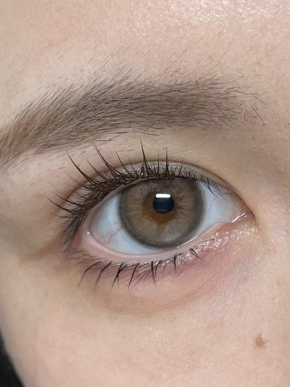 image_5F230A1E-1E4D-4DA2-9D0C-1897CE4A2963_1764254968