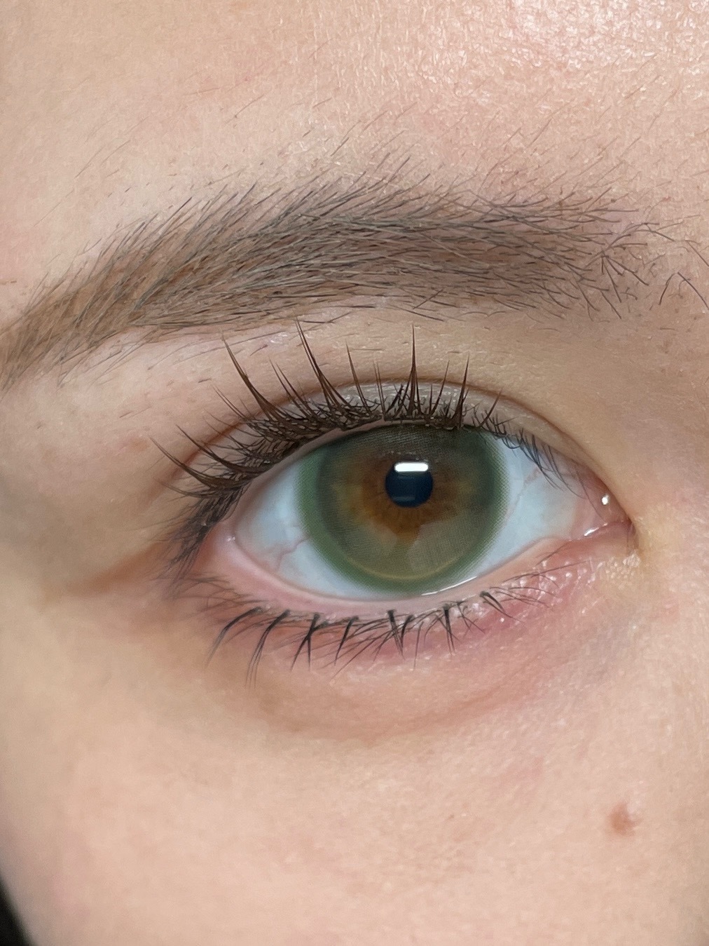 image_B902B686-AFD4-4C41-86DB-188F8F301D07_1764255393