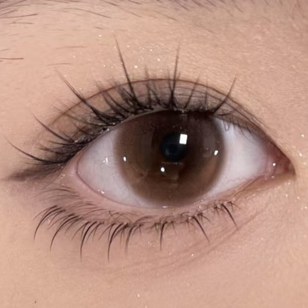 image_6E5CE411-BF0B-4C9E-B65E-7DD38574323D_1765190866