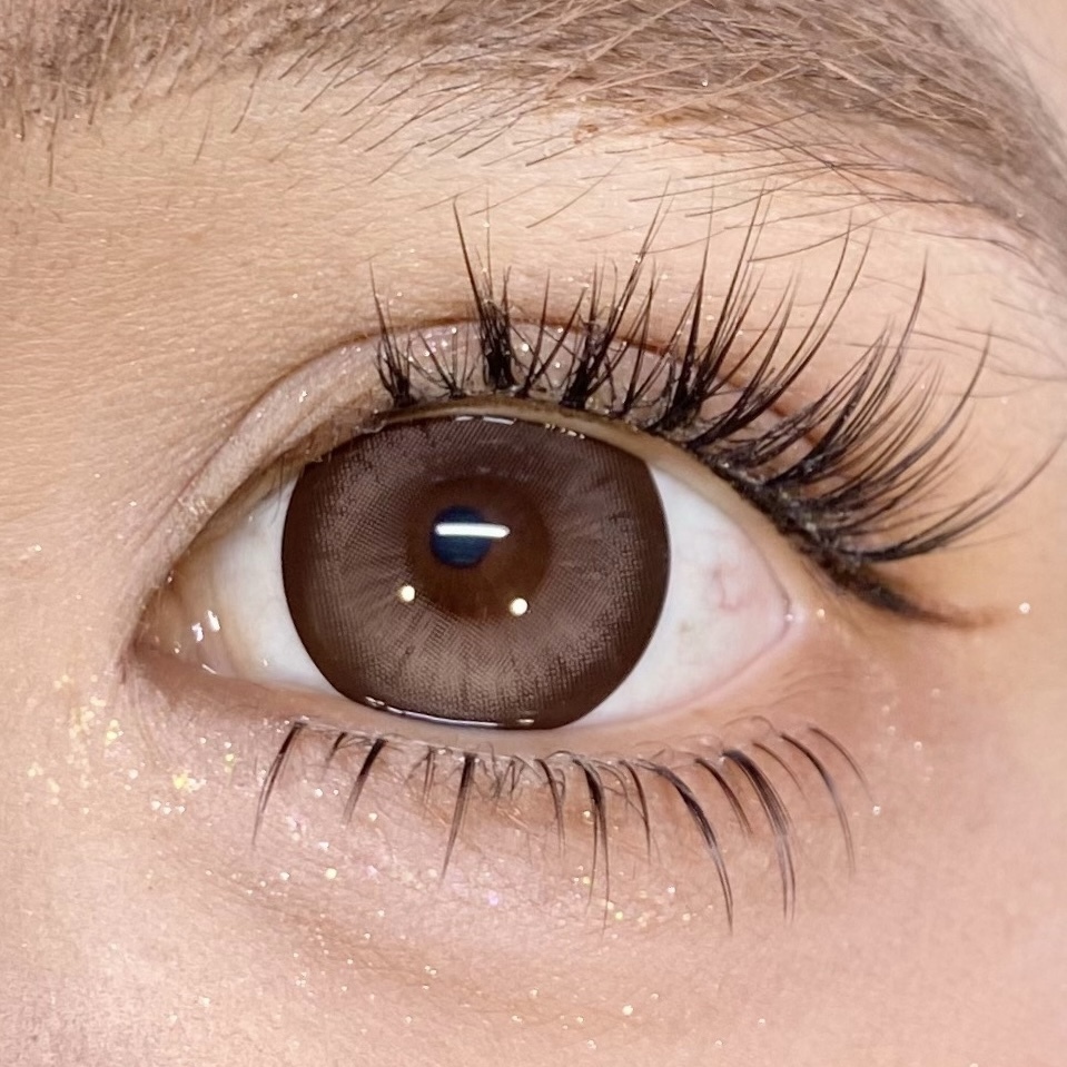 image_9252A305-8B67-4985-9870-9E55A9AEE27D_1765191019