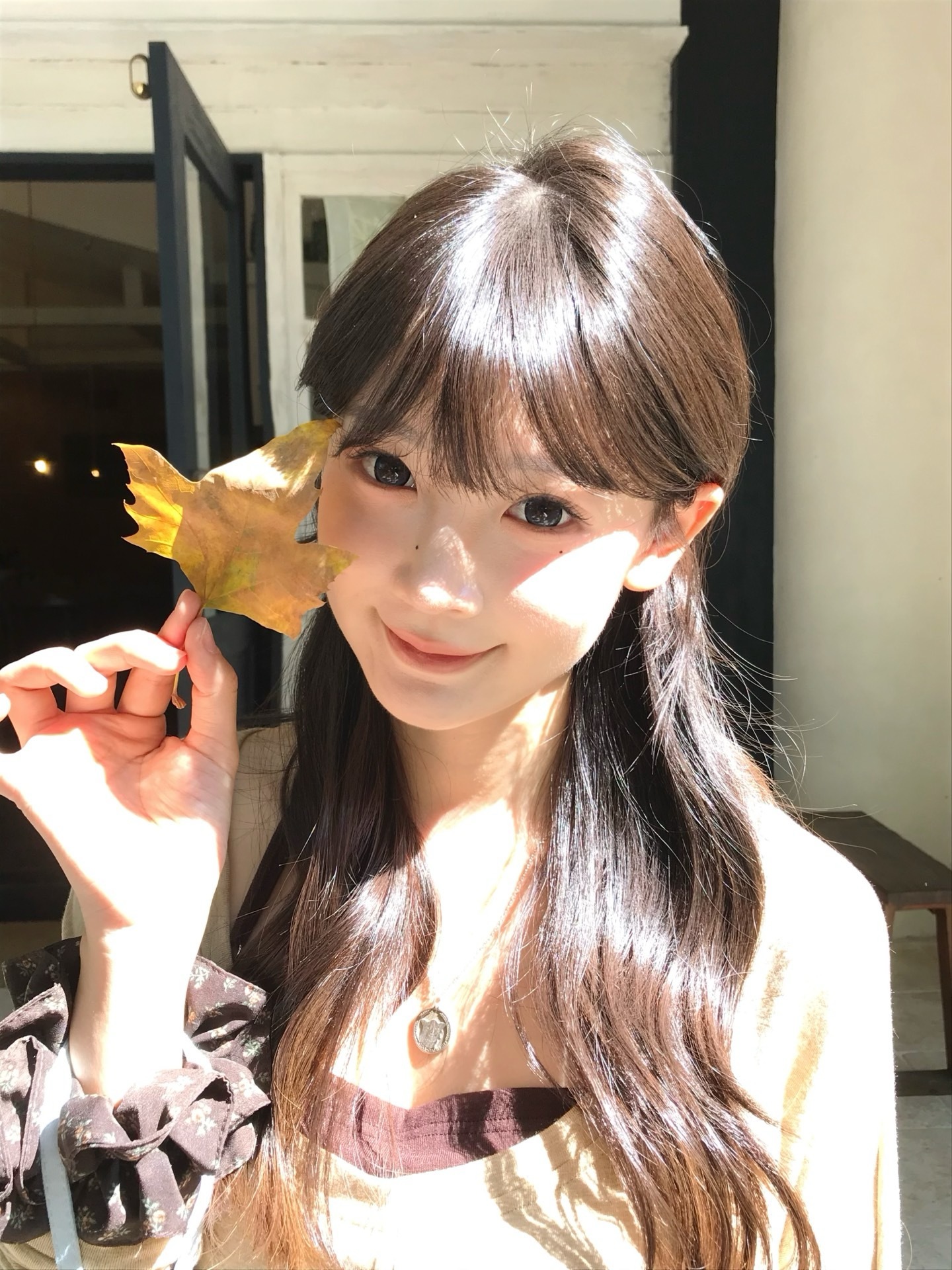 image_51D0C12D-1EC4-484D-AA35-3EADDE21CF7A_1765191151